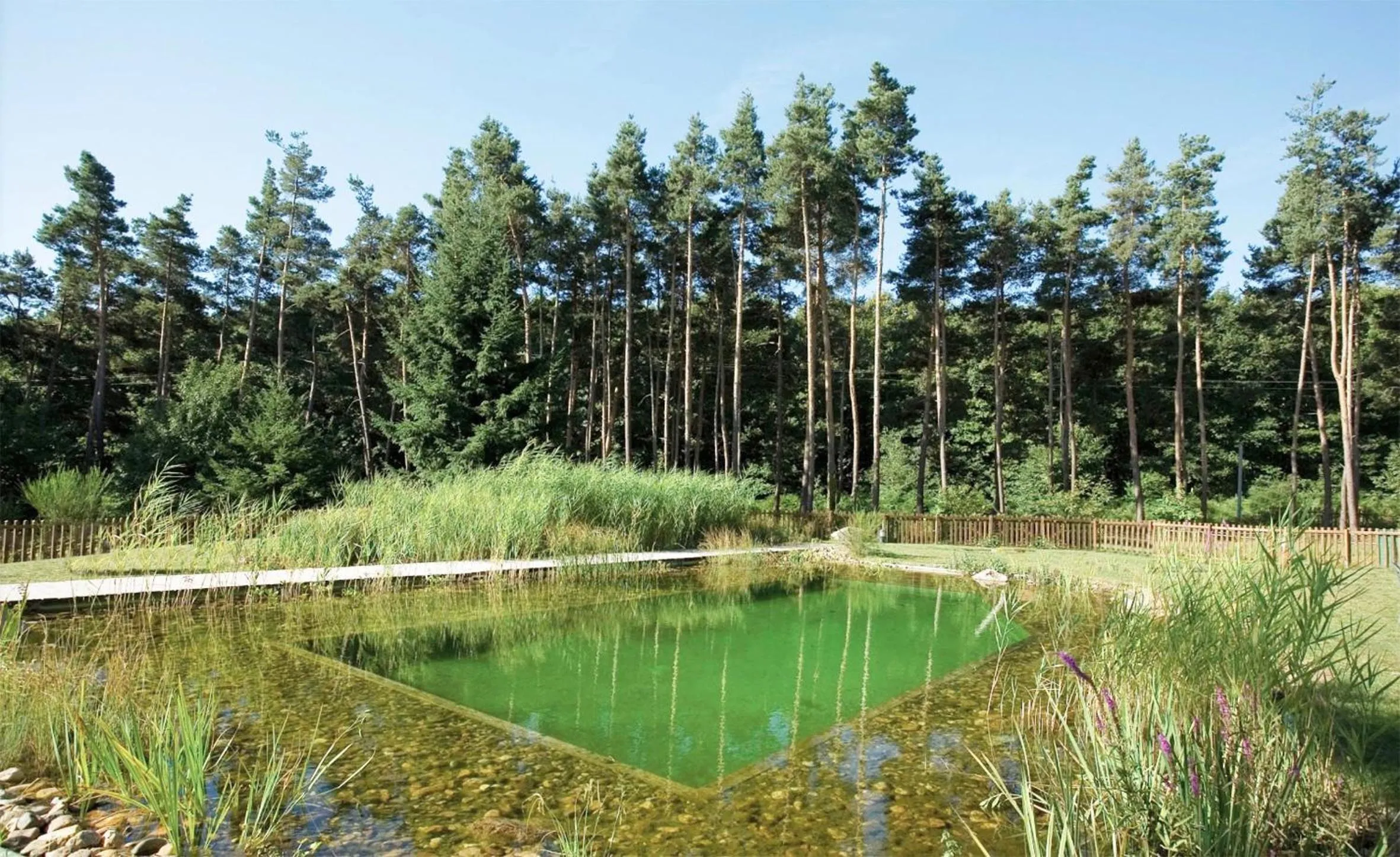 Swimming pool in Du côté de chez Sam
