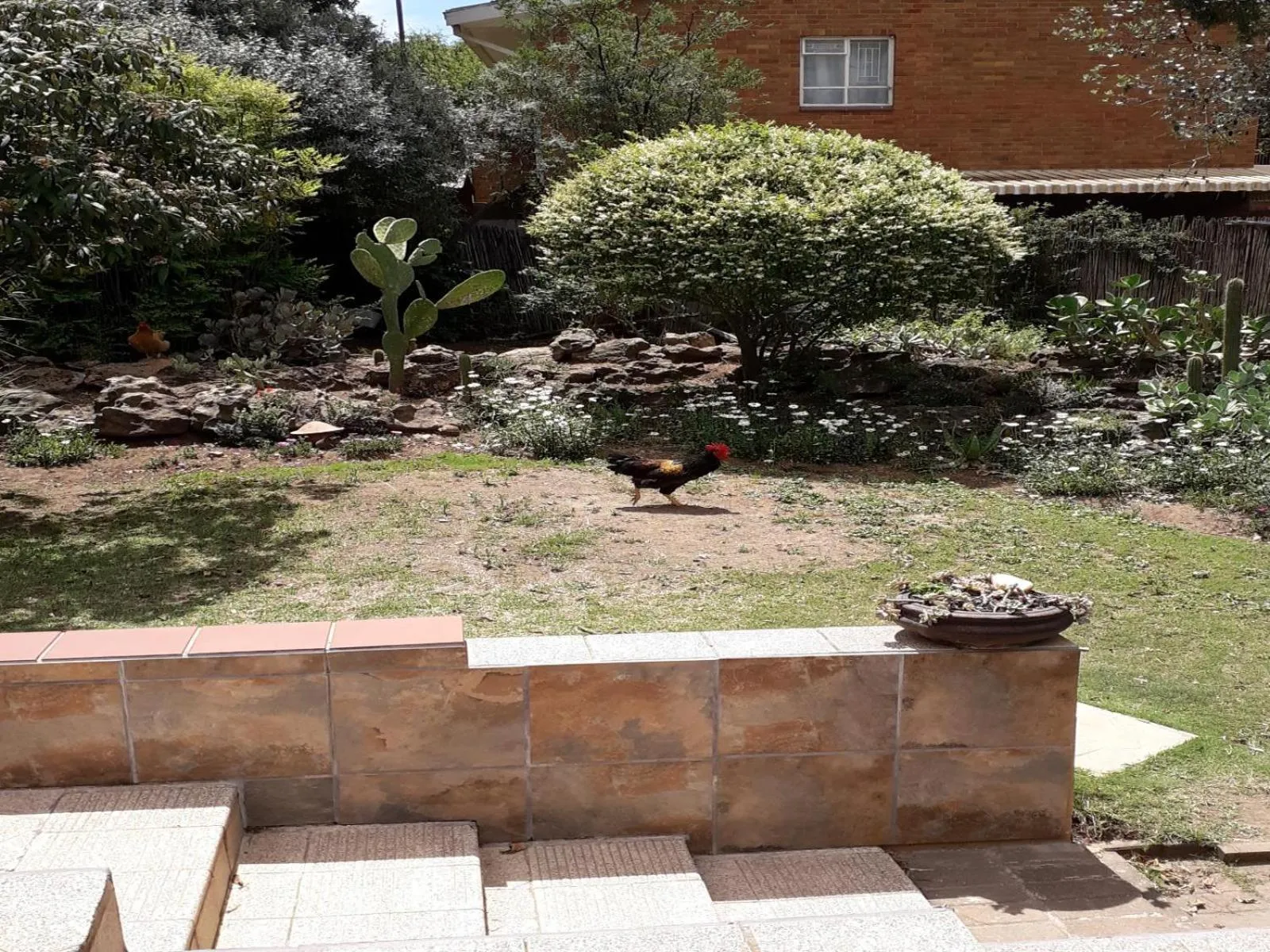 Garden in AANDRUS BNB