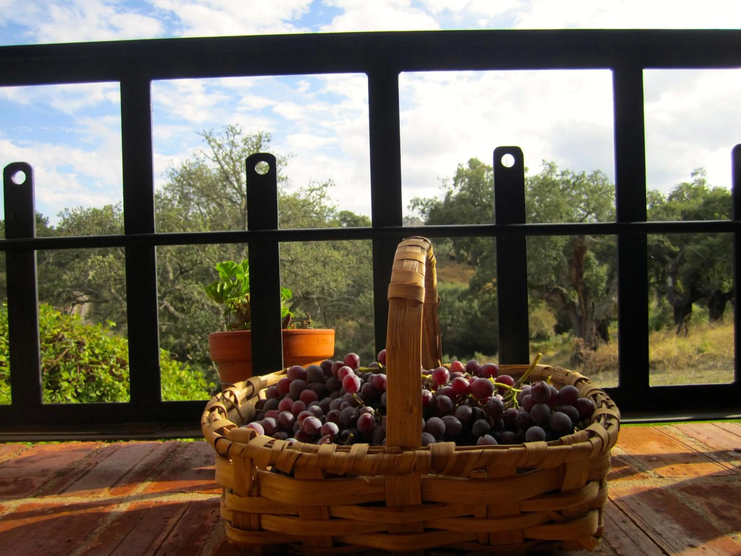 Apartamentos Rurales La Macera ****