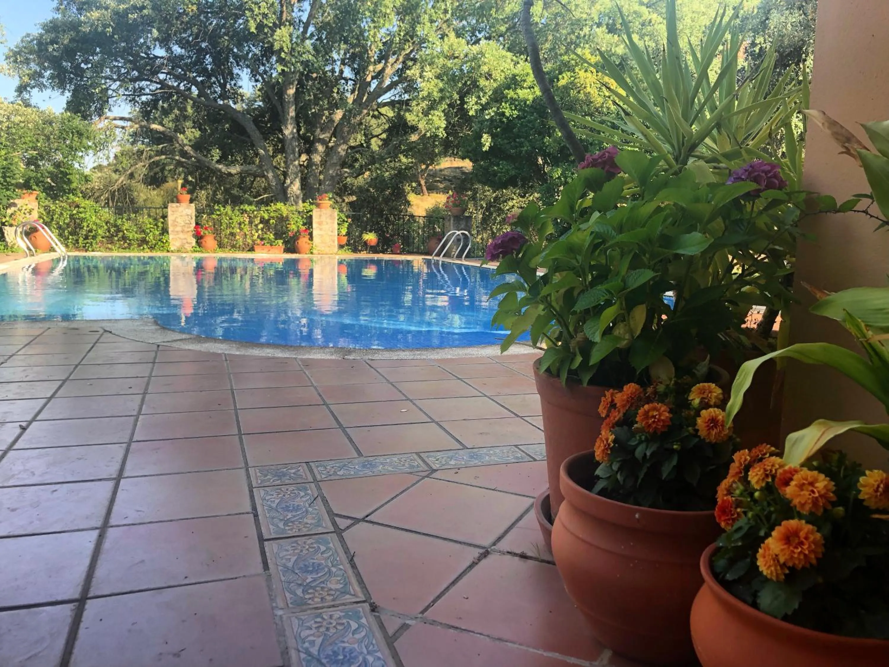 Swimming pool in Apartamentos Rurales La Macera ****
