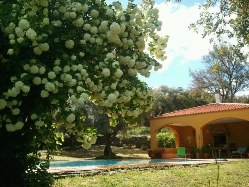Swimming pool in Apartamentos Rurales La Macera ****