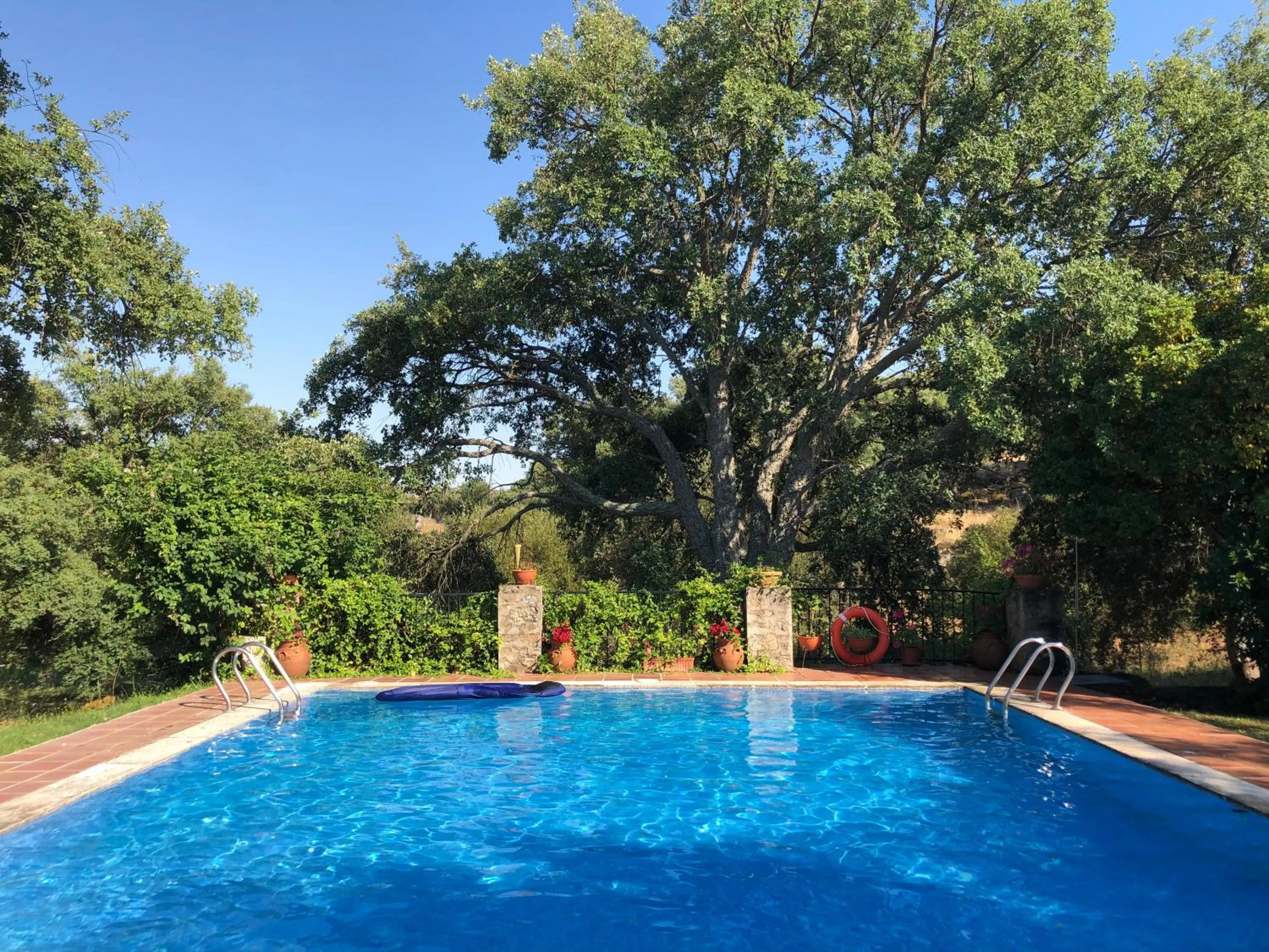 Swimming pool in Apartamentos Rurales La Macera ****
