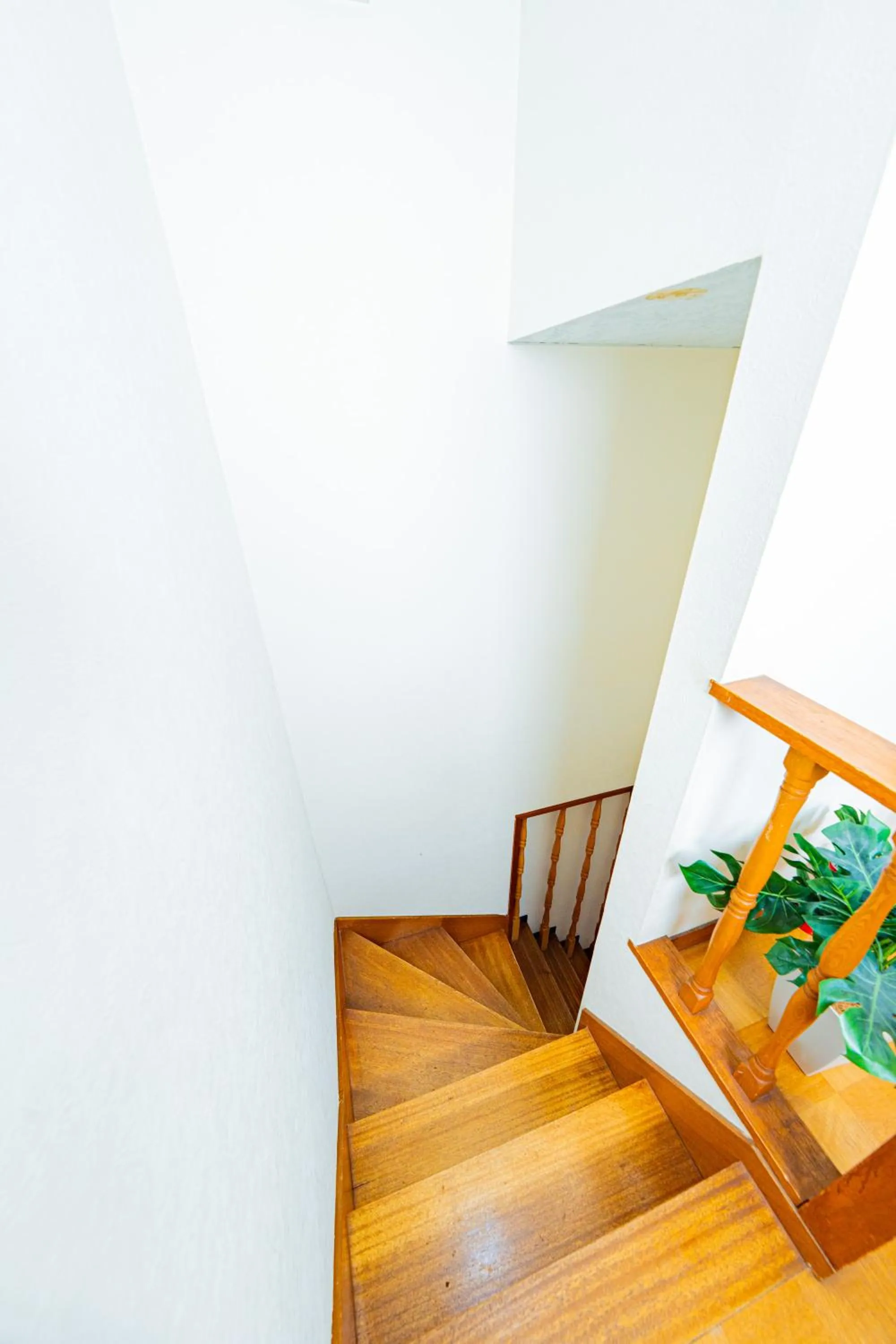 Photo of the whole room in Extreme