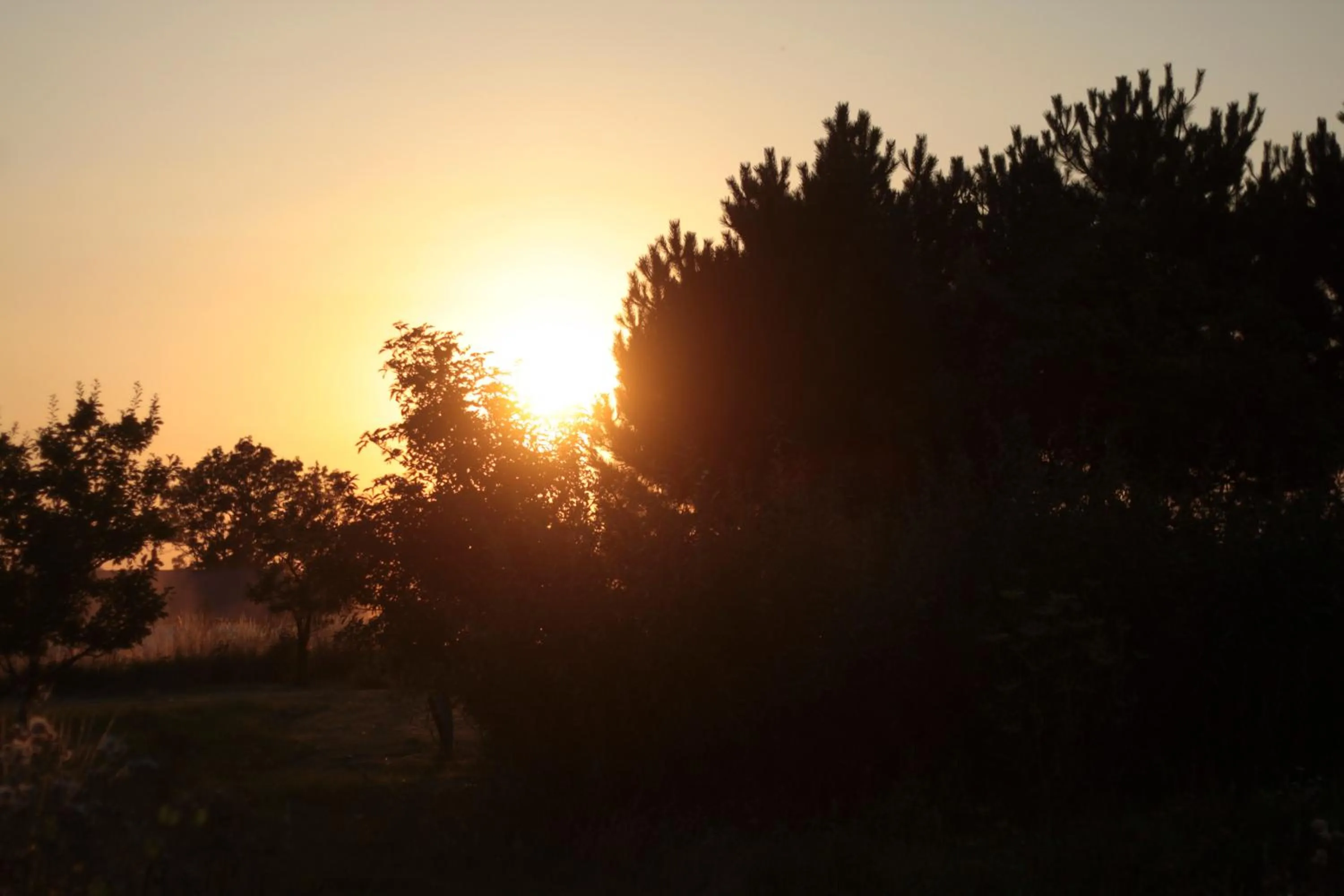 View (from property/room) in Quistgaarden Bed & Breakfast