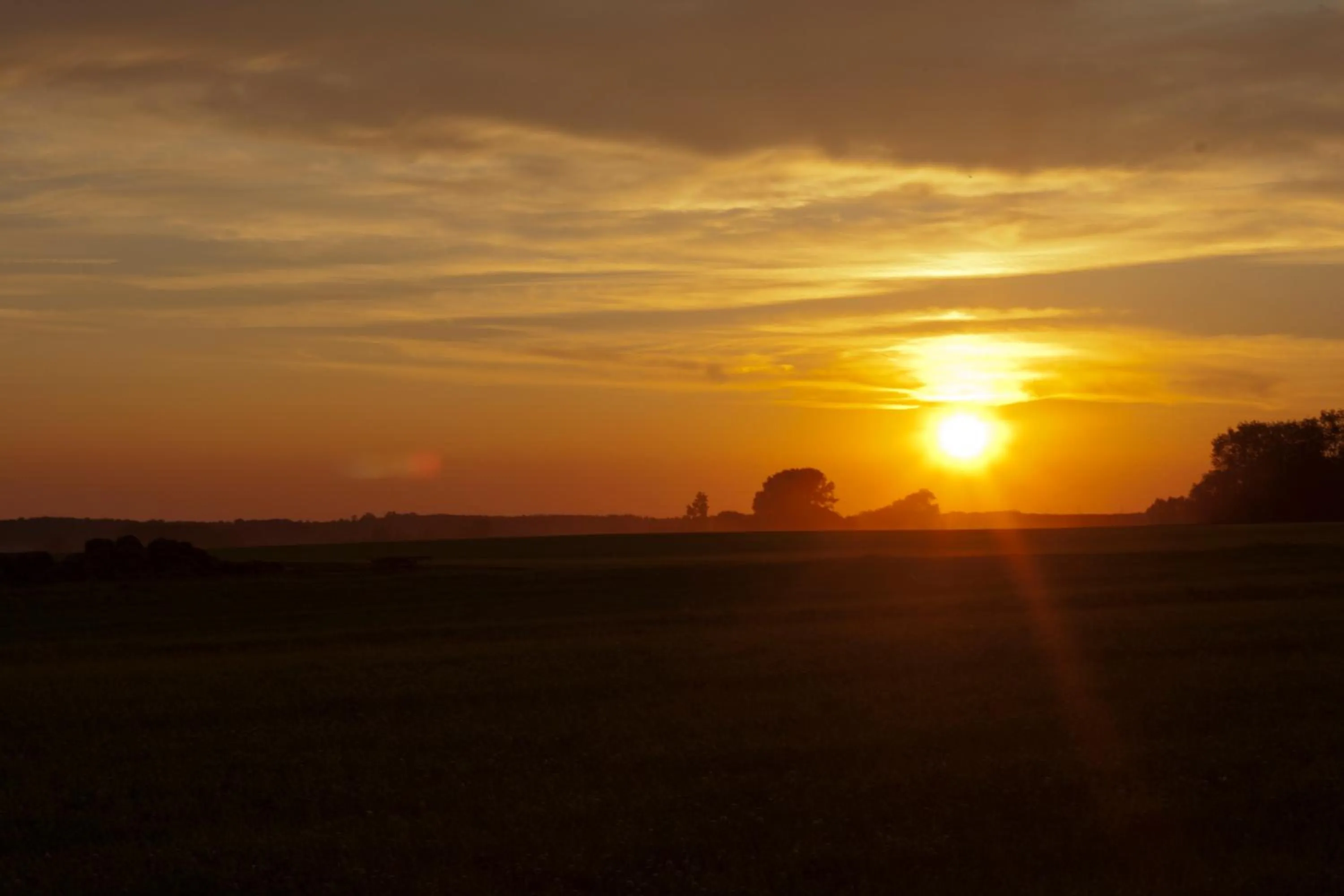 View (from property/room) in Quistgaarden Bed & Breakfast