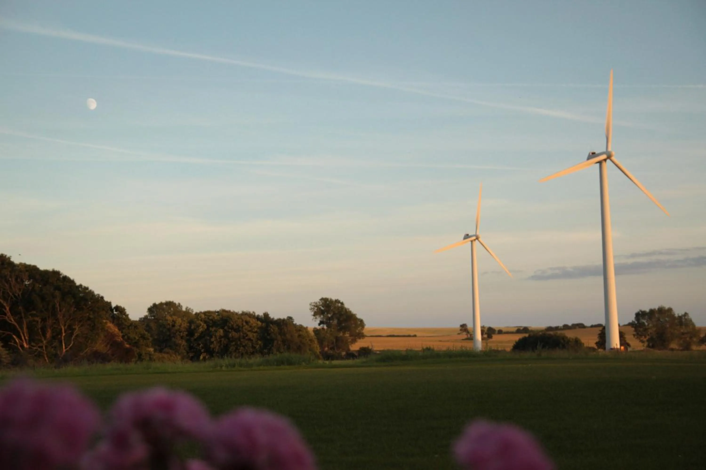 Natural landscape in Quistgaarden Bed & Breakfast