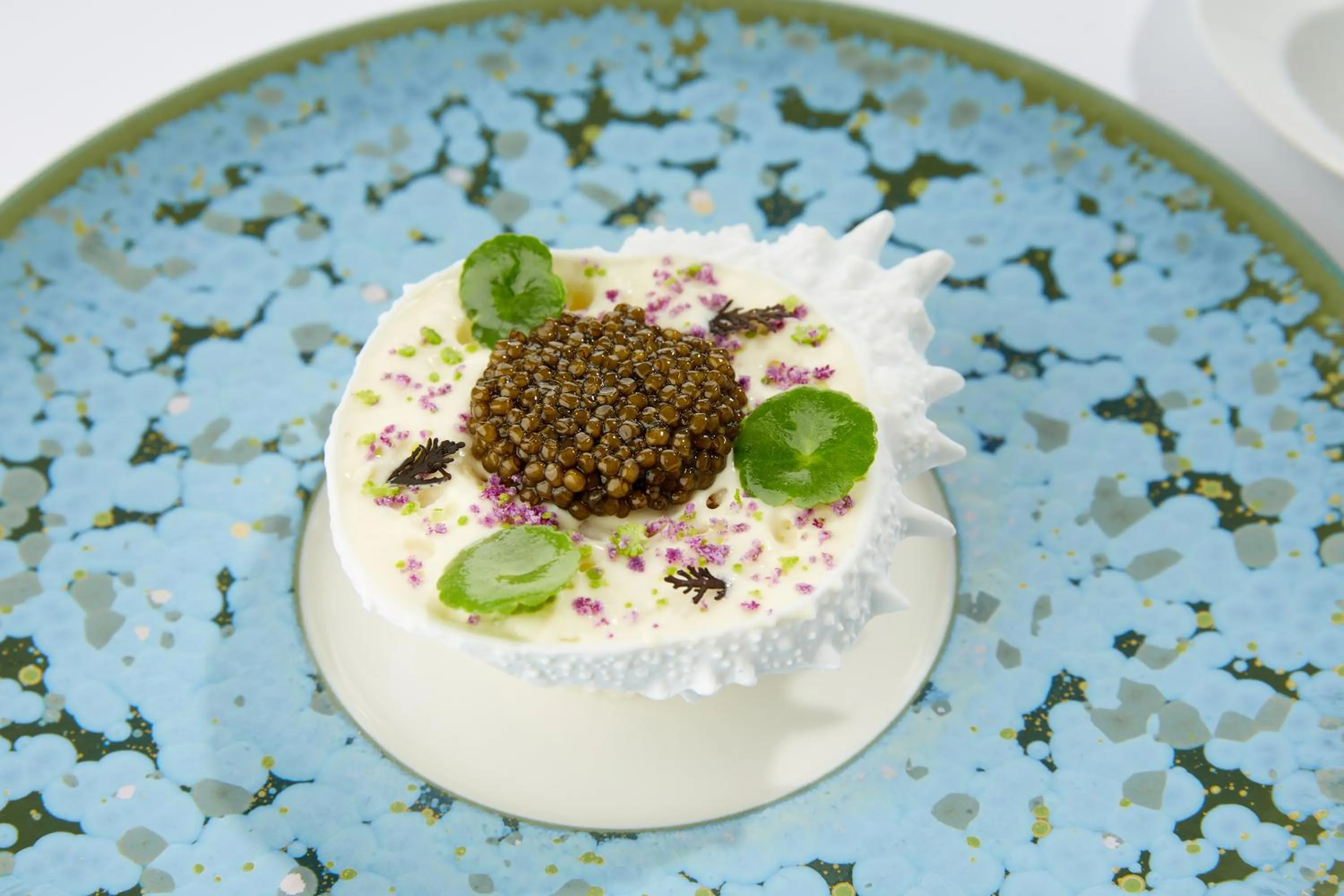 Food close-up in Domaine les Crayères