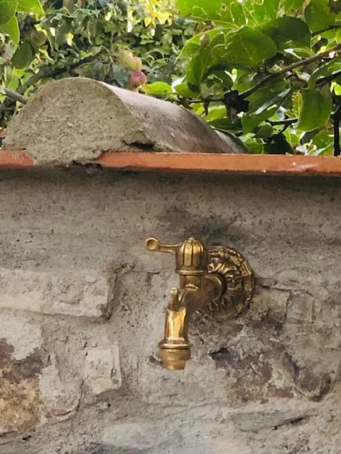 Property building in La Magnolia