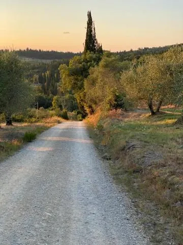 Property building in La Magnolia