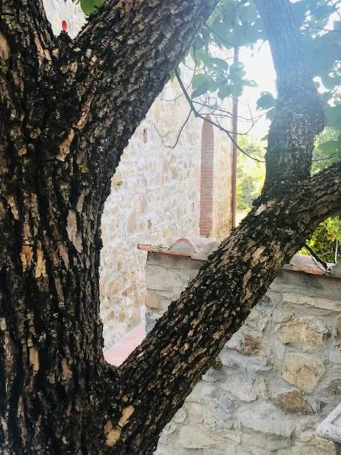 Property building in La Magnolia