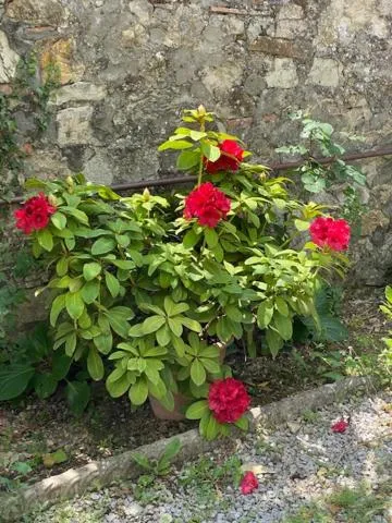 Property building in La Magnolia