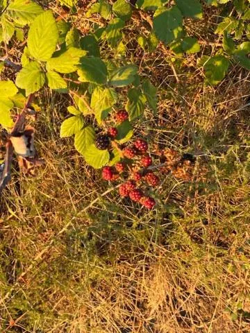 Property building in La Magnolia