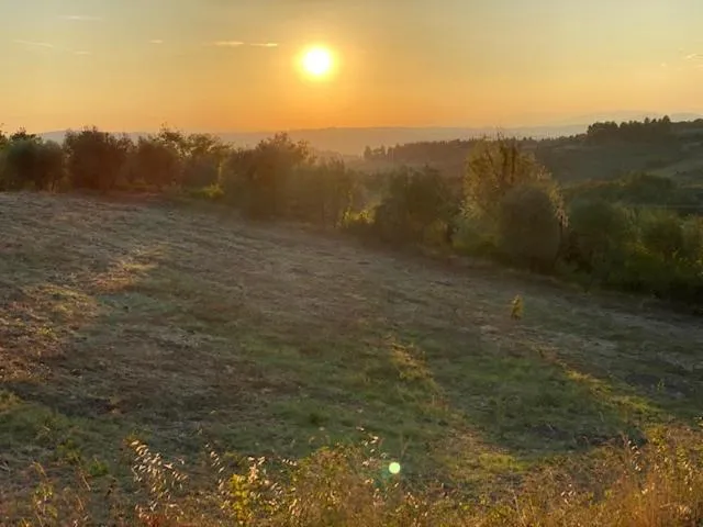 Property building in La Magnolia