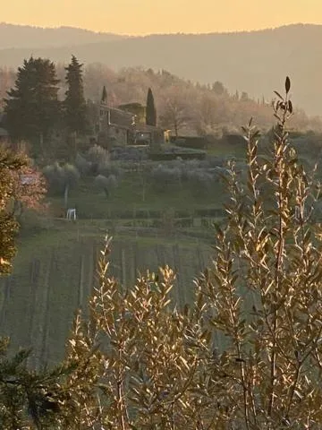 Property building in La Magnolia