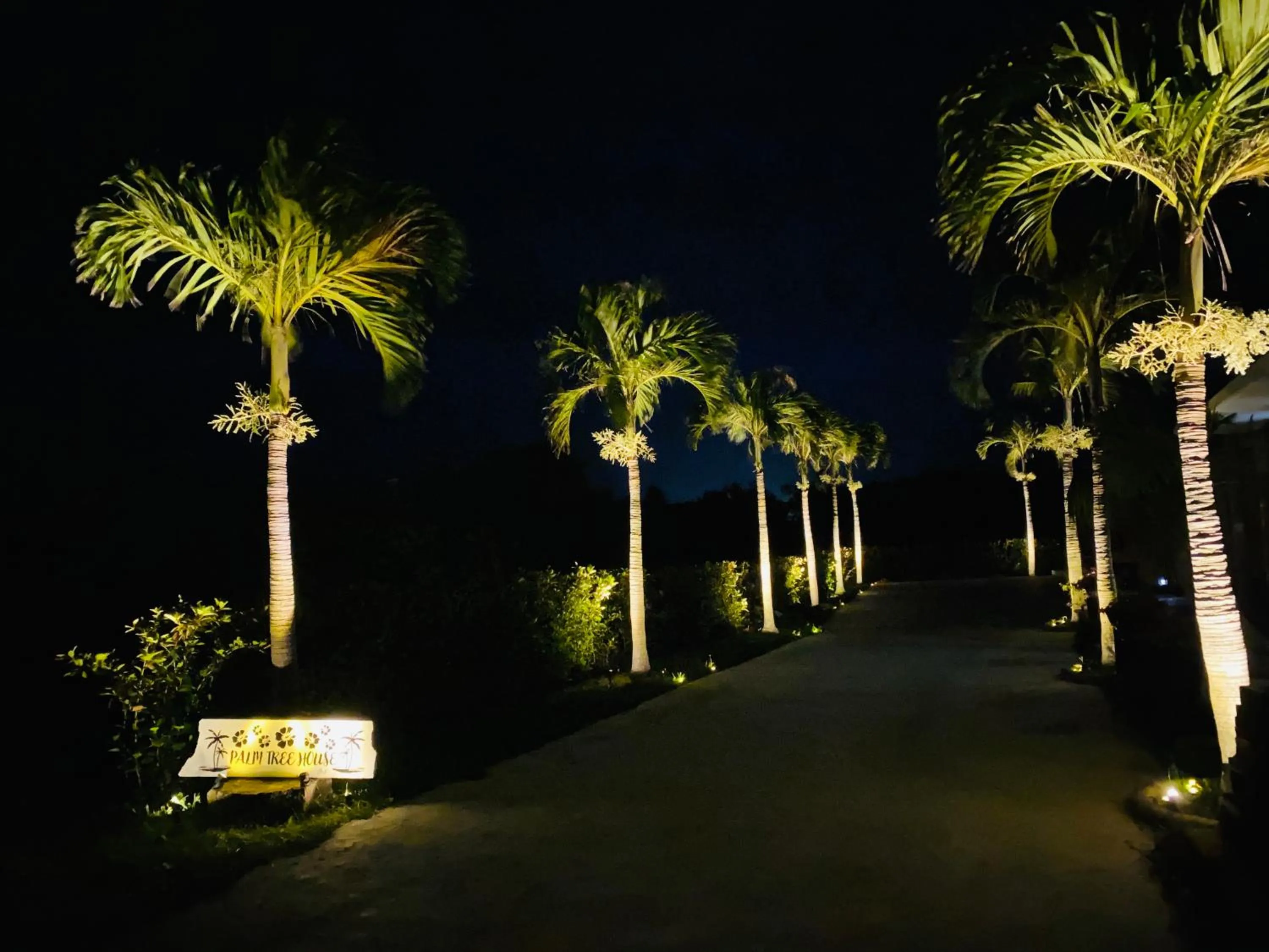 Palm Tree House Ishigaki - パームツリーハウス石垣