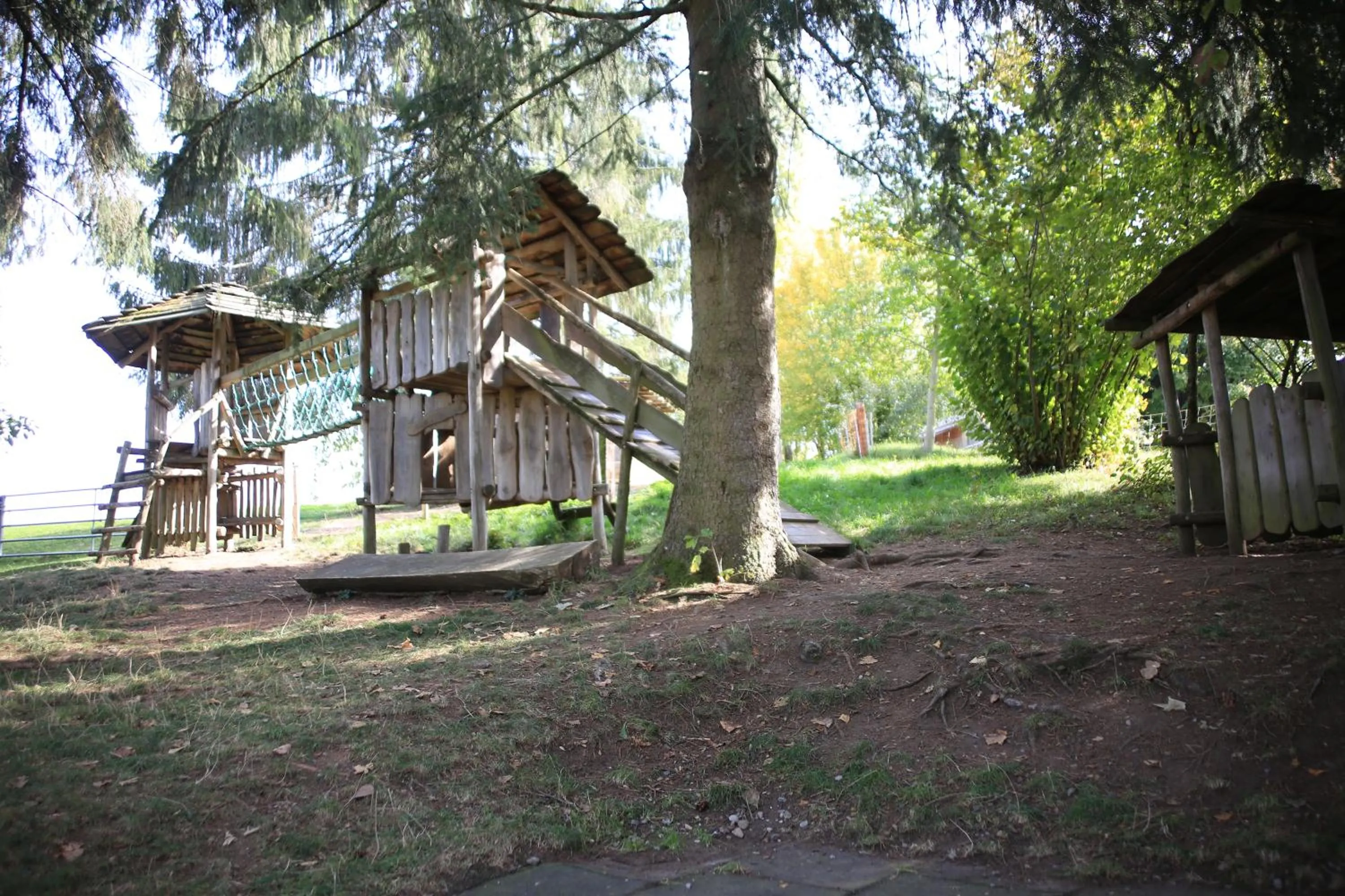 Erlebnisland Grizzlybär