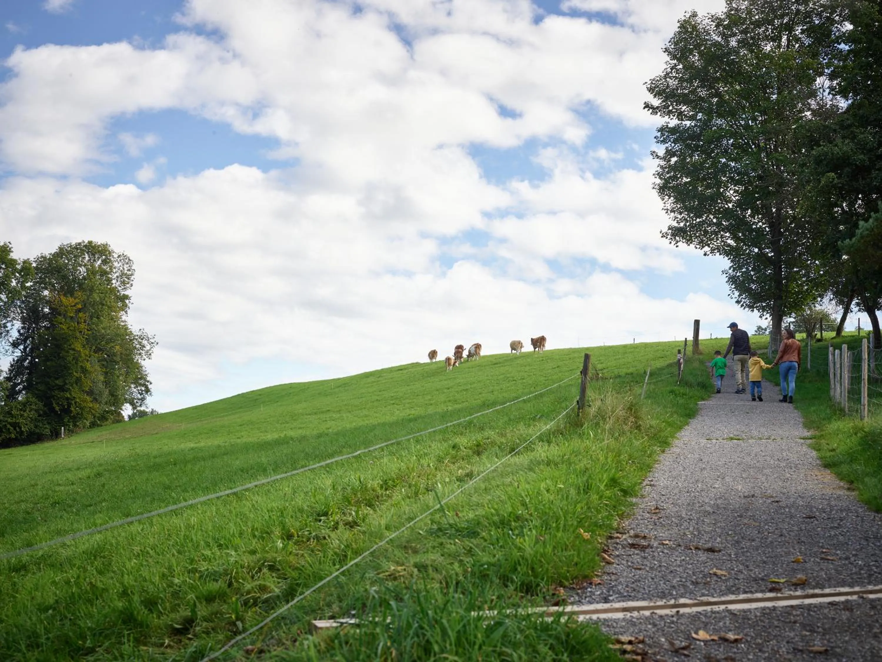 Erlebnisland Grizzlybär