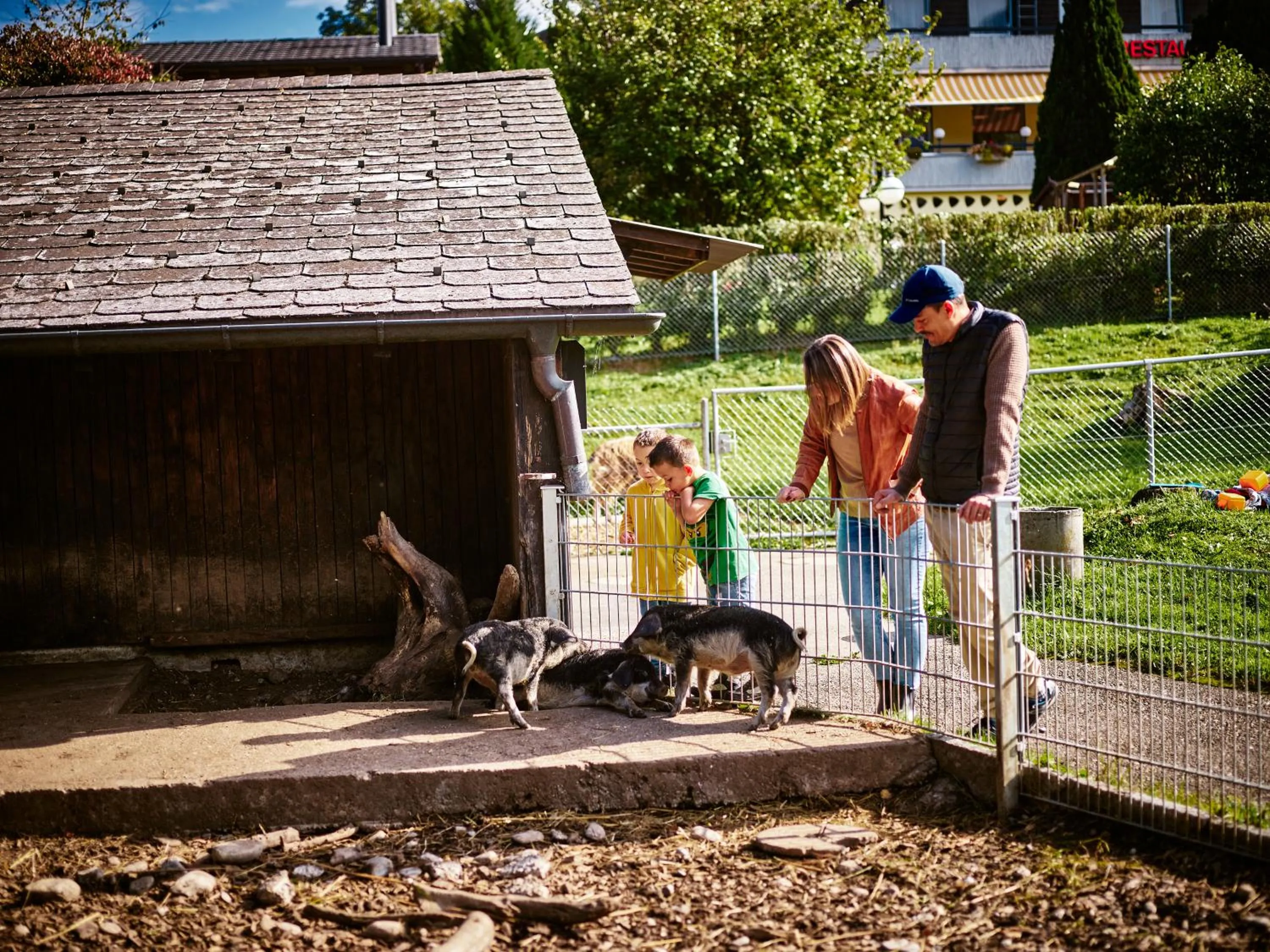 Erlebnisland Grizzlybär