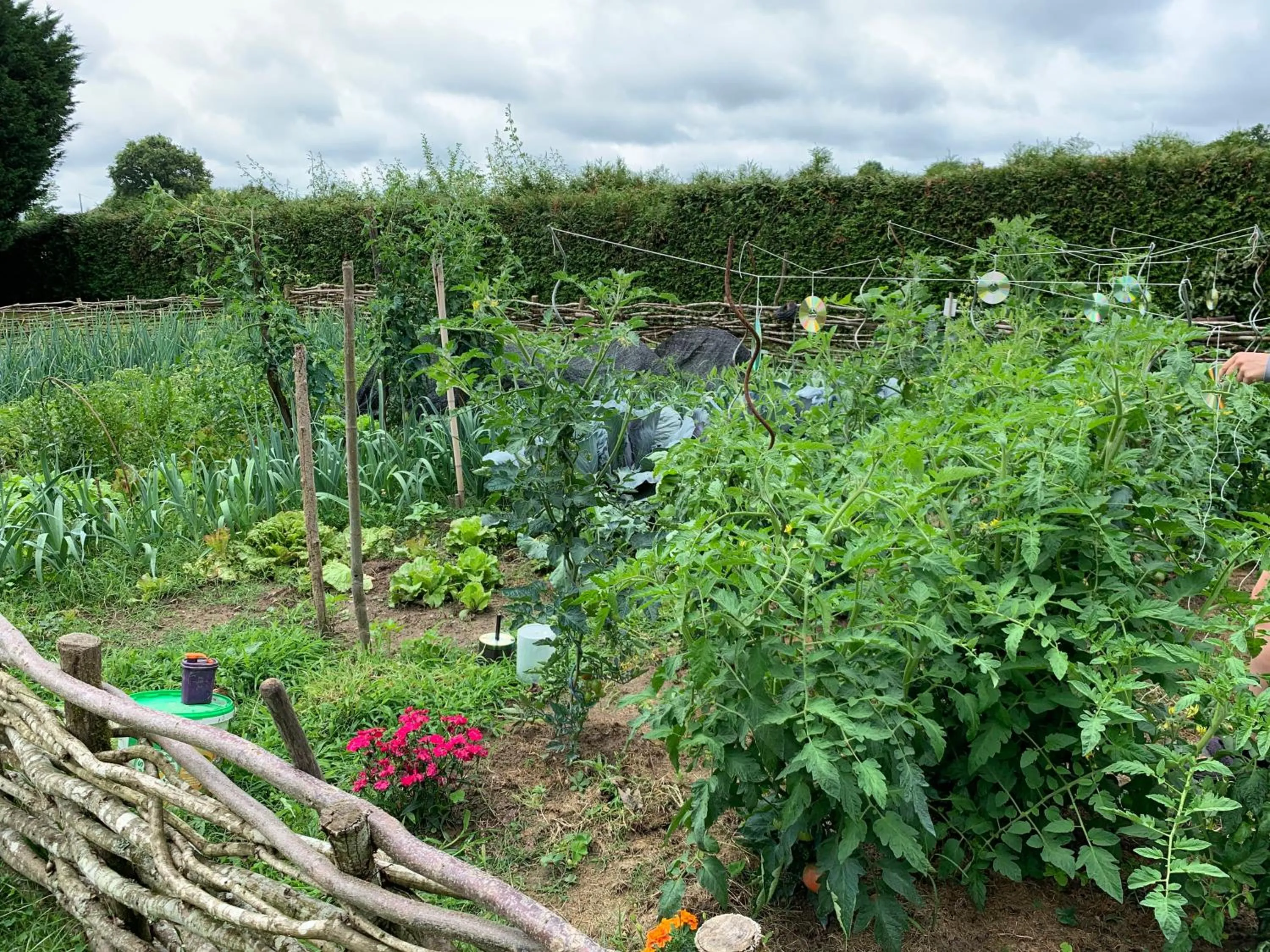 Garden in L'Intemporelle