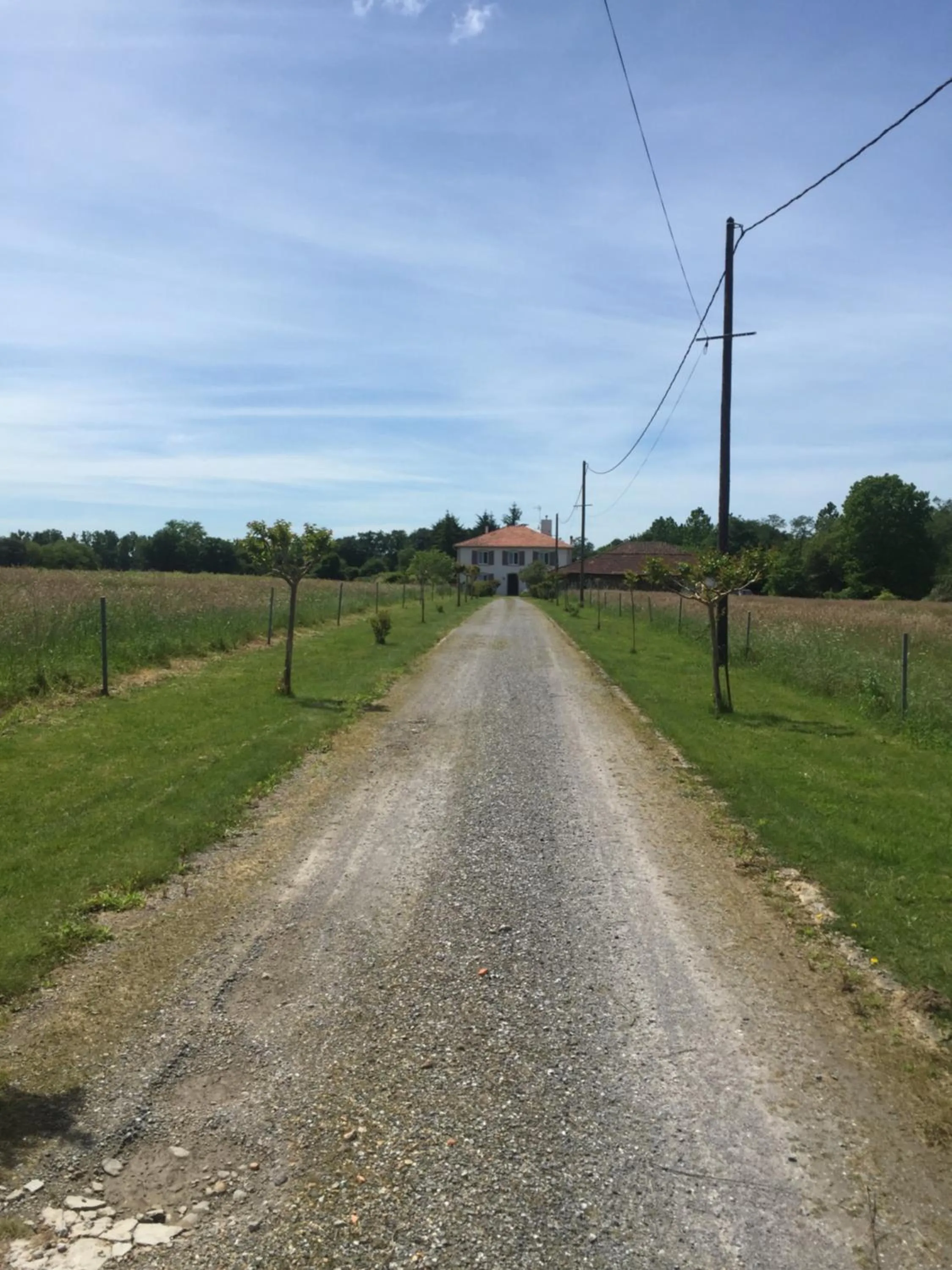 Garden in L'Intemporelle