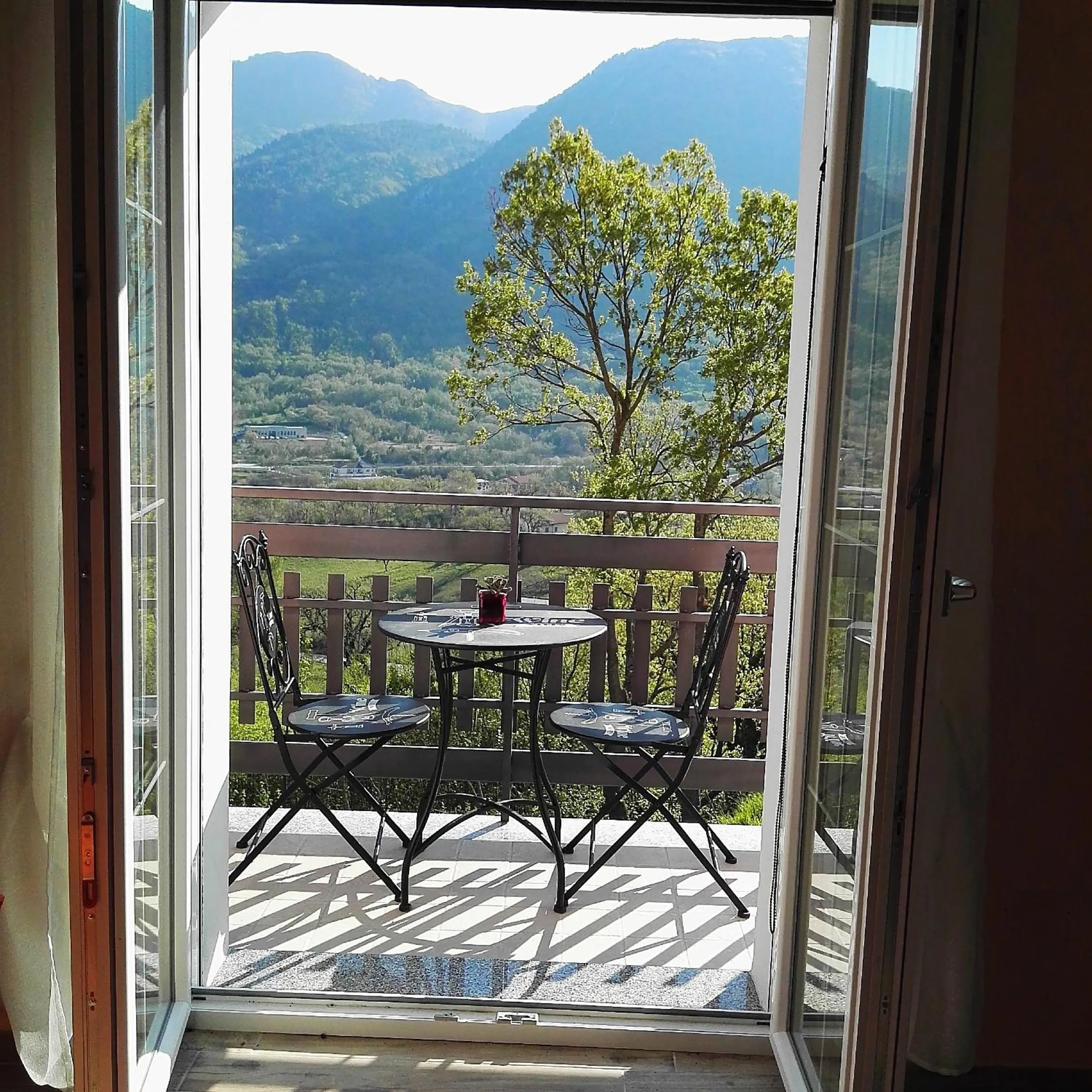 Nel verde di Carinci