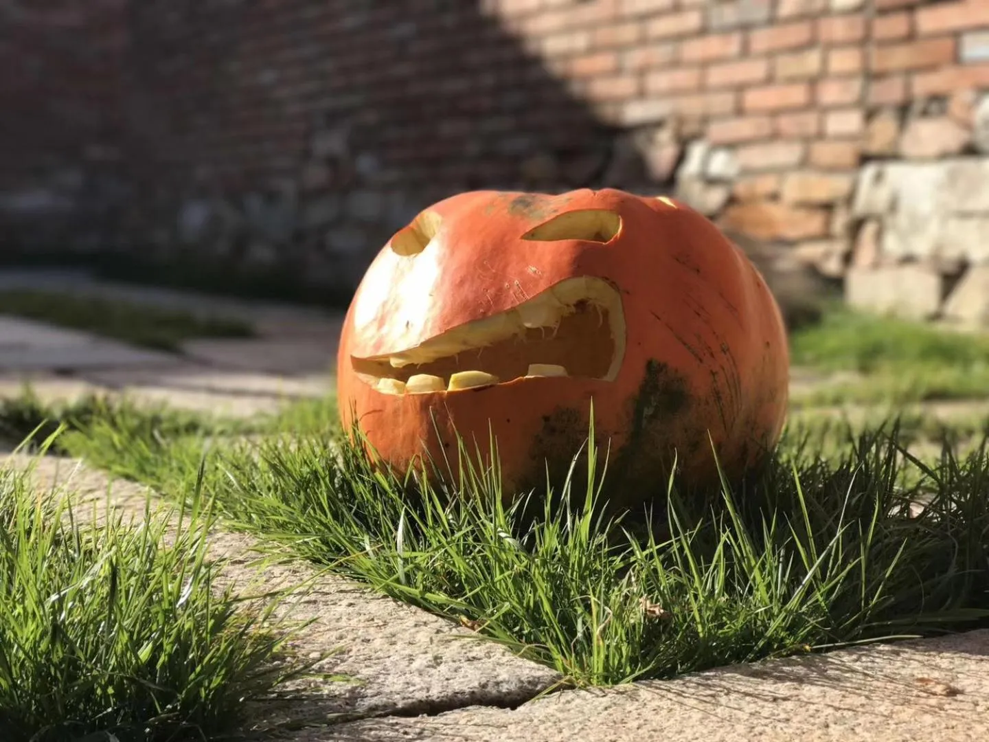 Day in Sansa Village Boutique Hotel at Mutianyu Great Wall Adjoin to Mutianyu Great Wall - Room with the View of Great Wall - Jacuzzi with the View of Great Wall - Vehicle Shuttle Service - International Catering - SPA& Nail Beauty Facilities