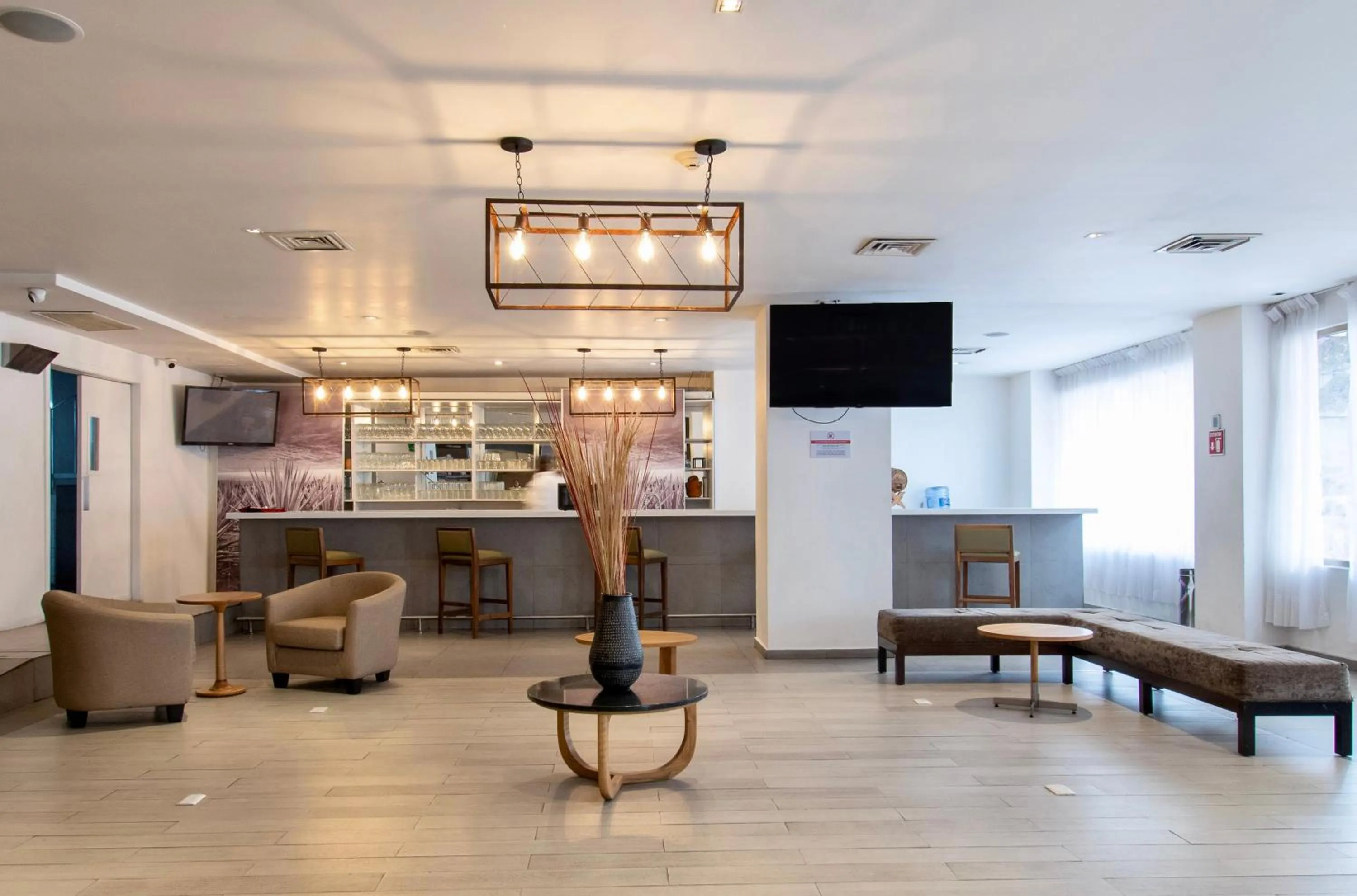 Lounge or bar in Hotel Plaza Génova Centro