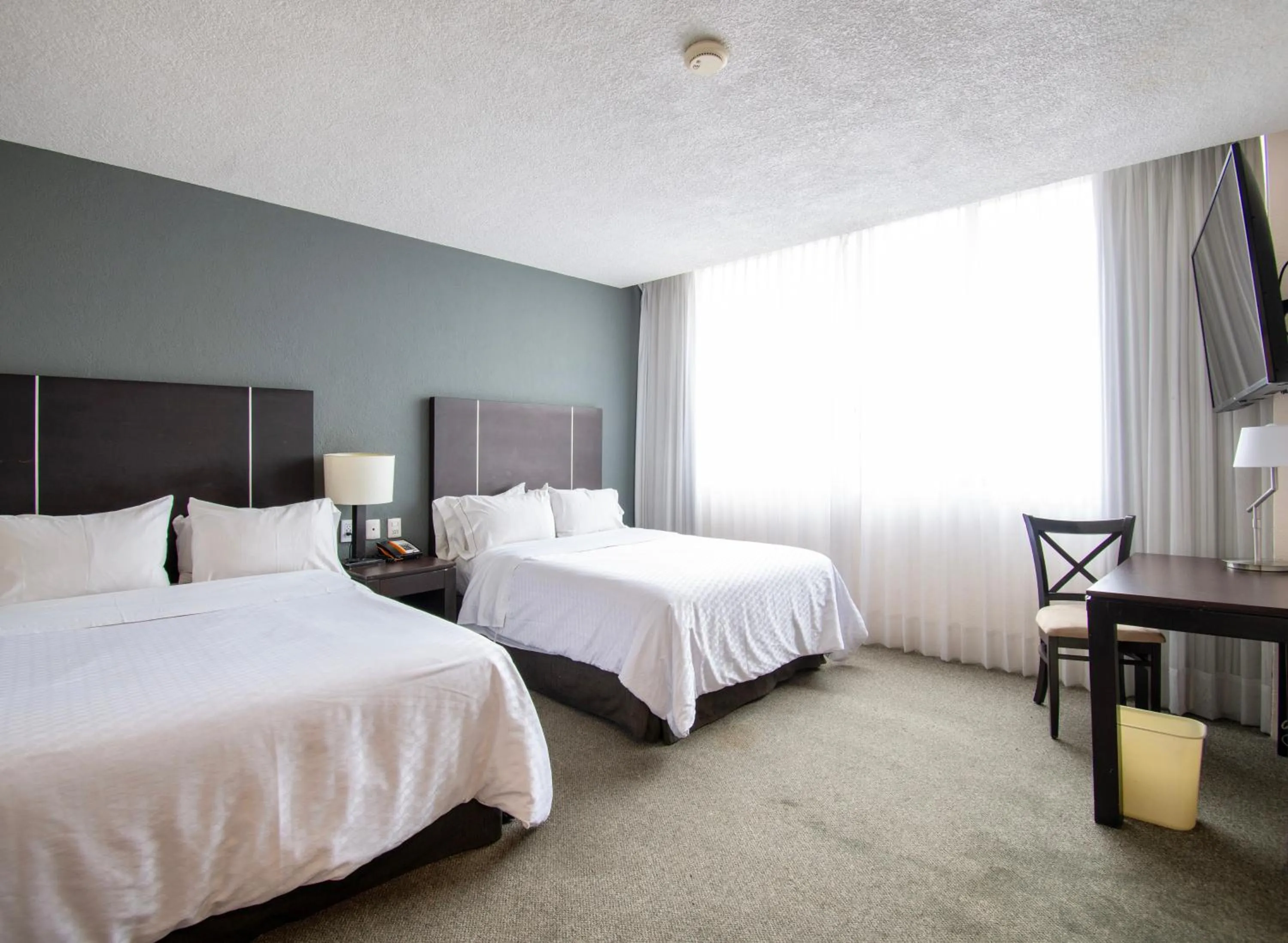 Bed in Hotel Plaza Génova Centro