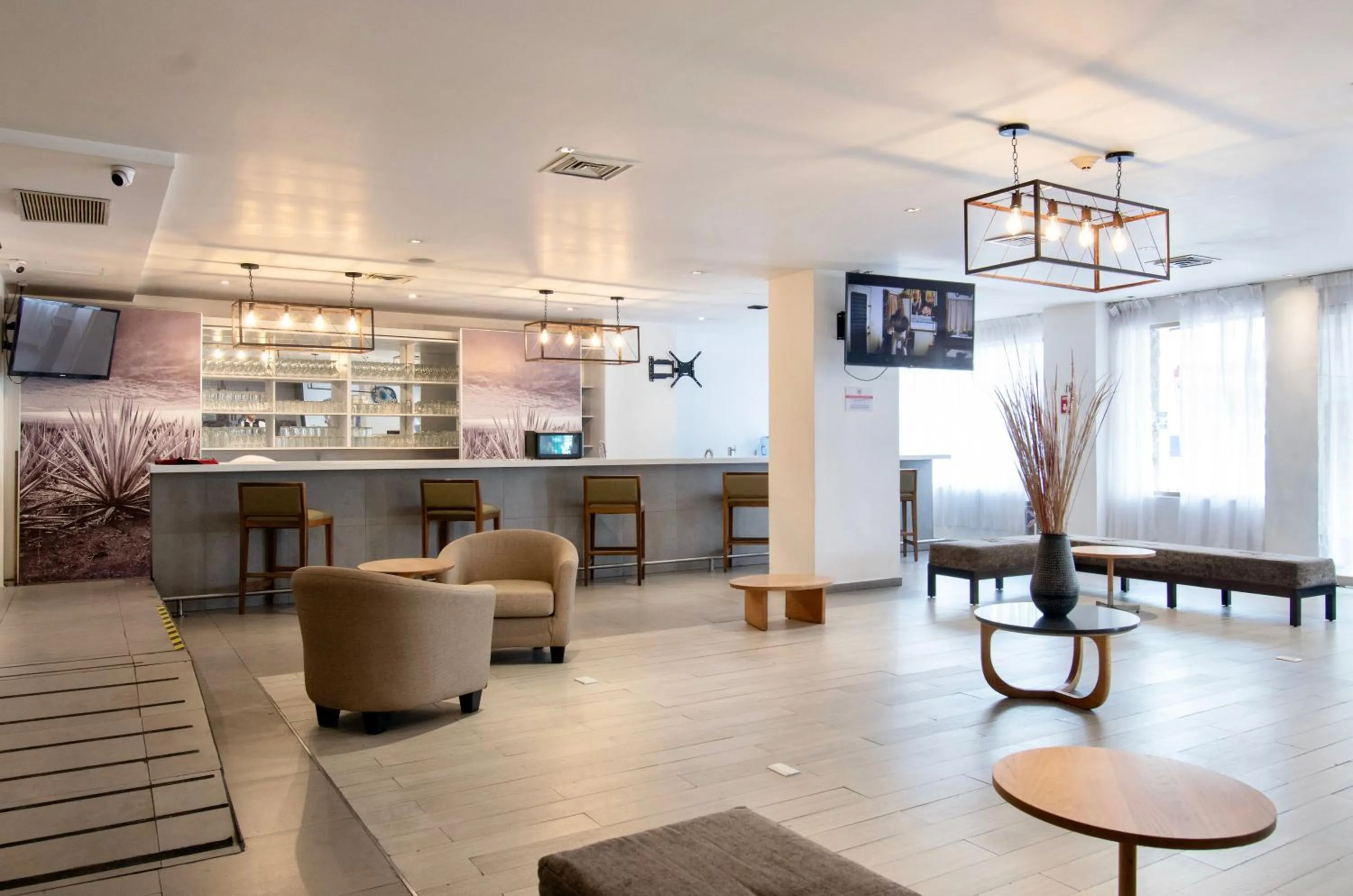 Lounge or bar in Hotel Plaza Génova Centro