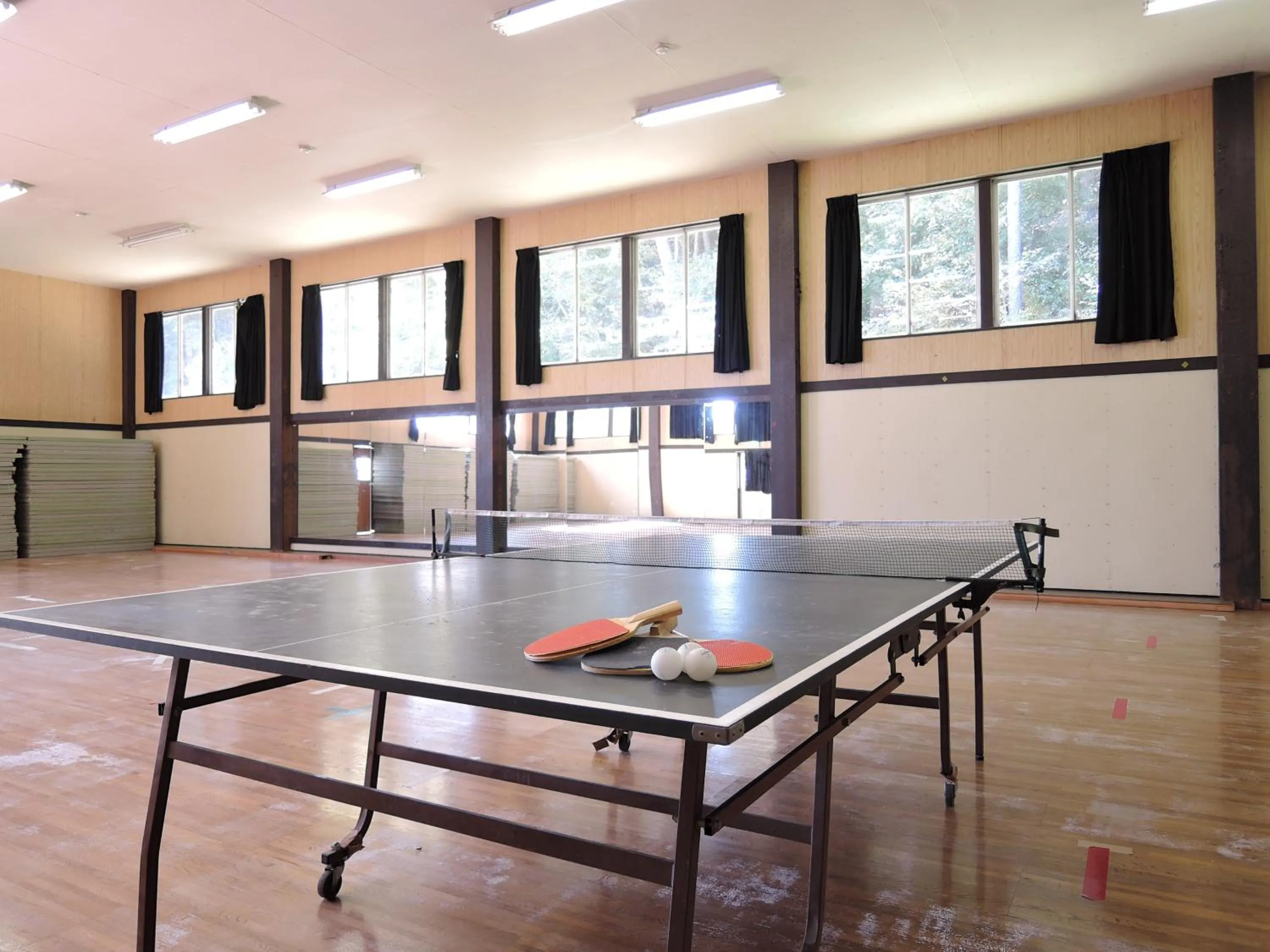 Table tennis in Shintaku Sanso