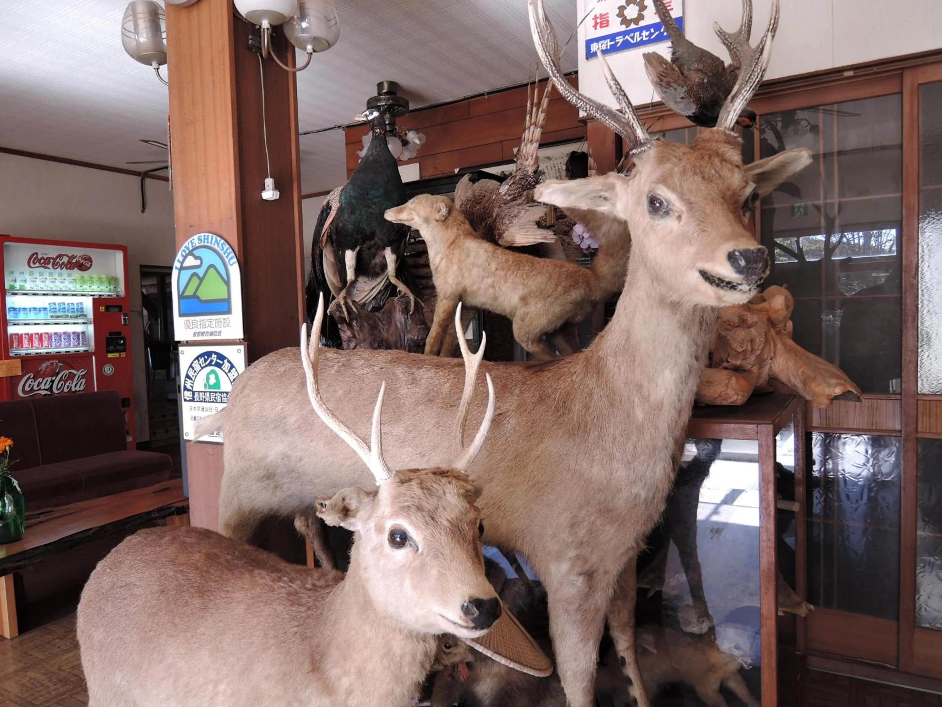 Lobby or reception in Shintaku Sanso