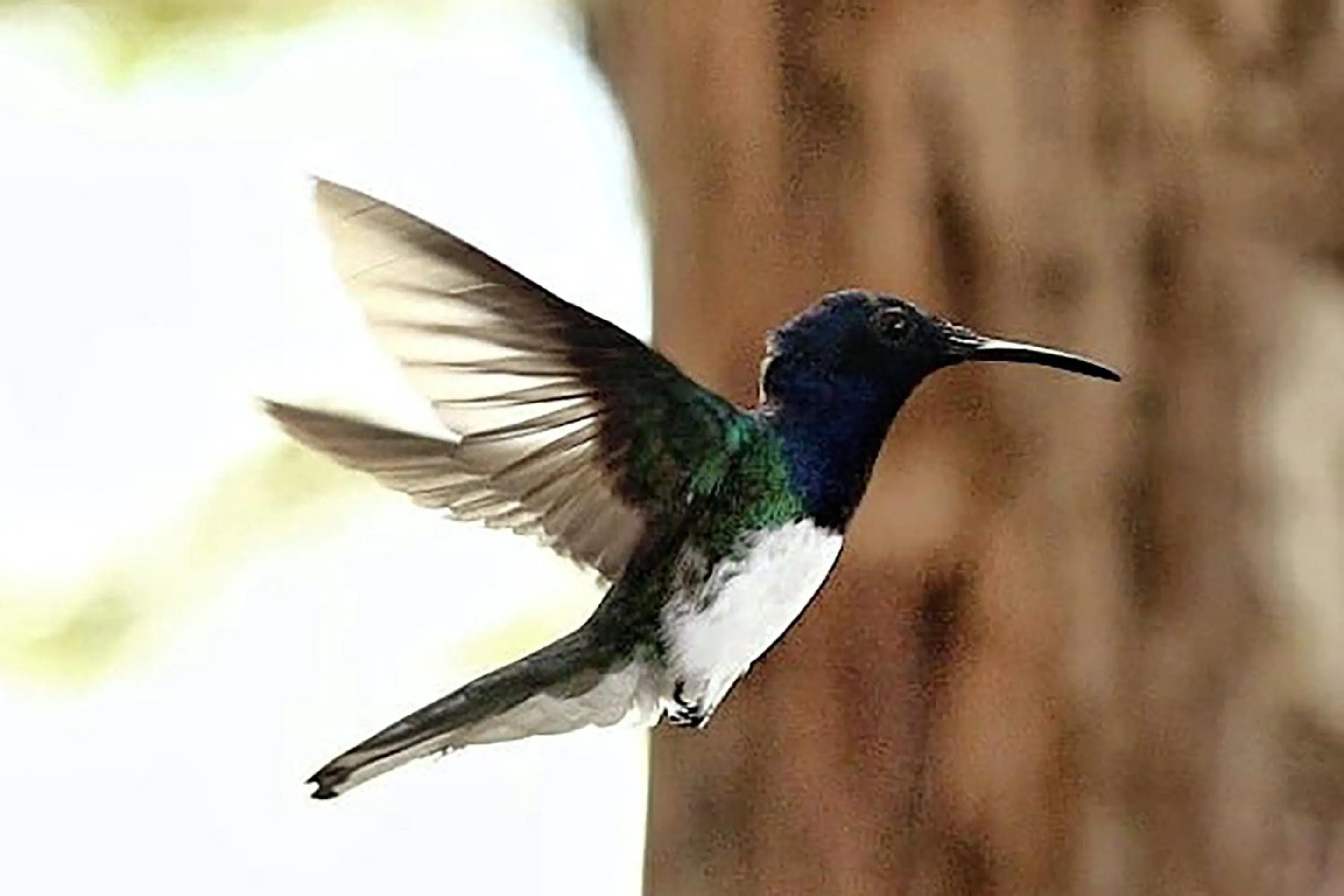 Activities in MuchoSur Quimbaya