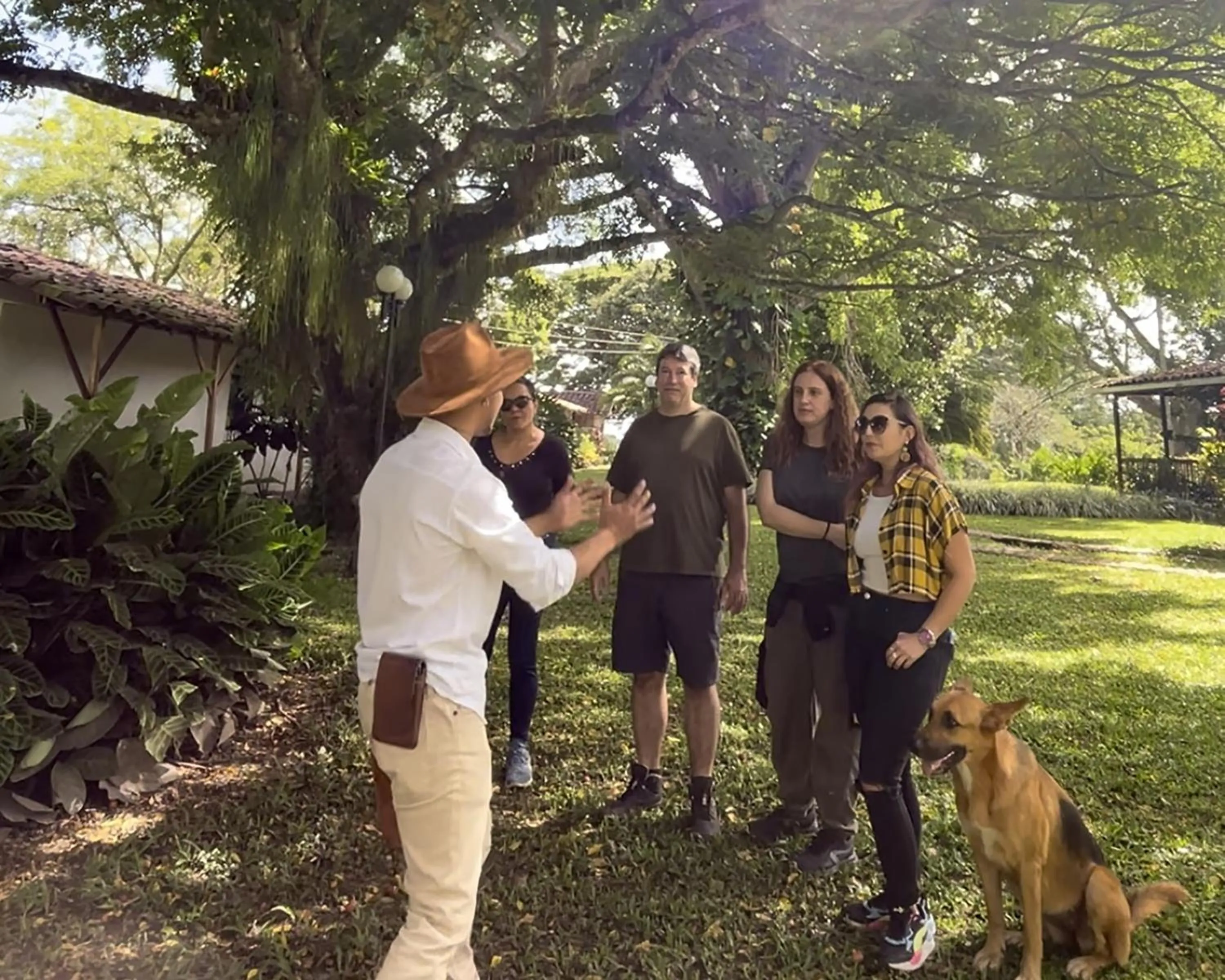 Natural landscape in MuchoSur Quimbaya