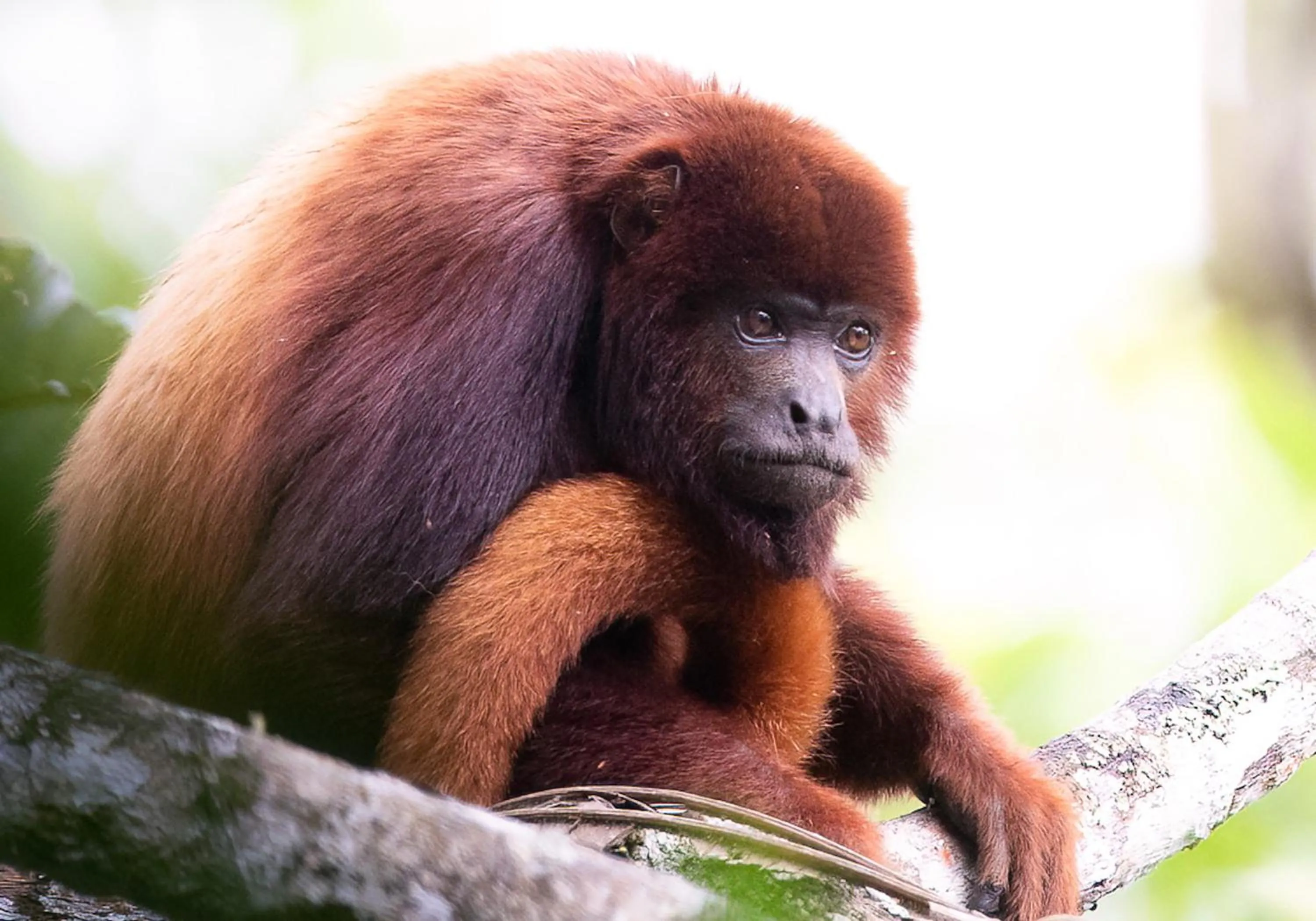 Natural landscape in MuchoSur Quimbaya