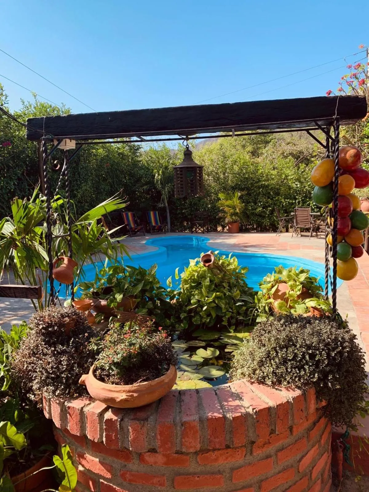 Garden in Hostal La Casa de Felipe