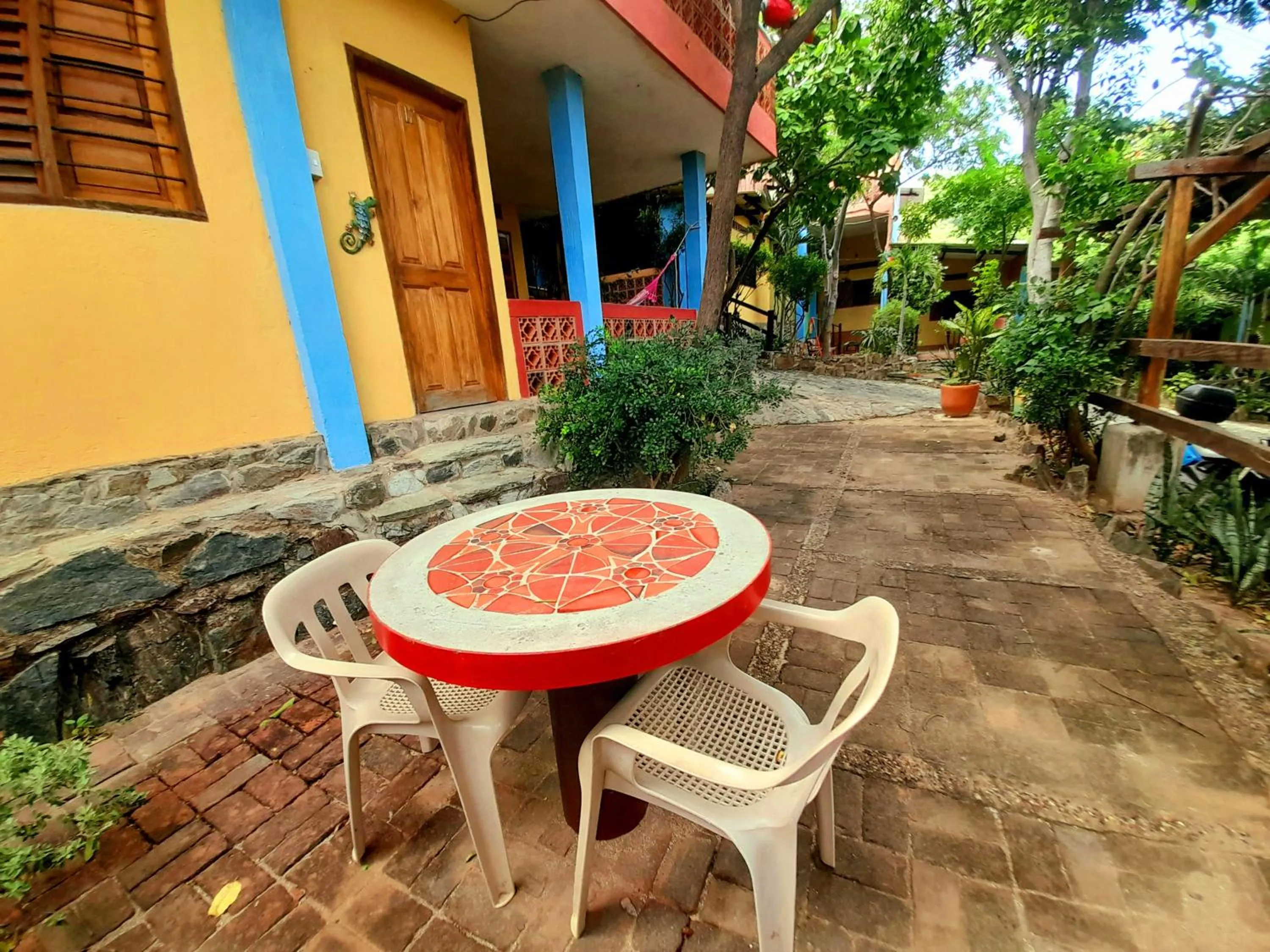 Garden in Hostal La Casa de Felipe