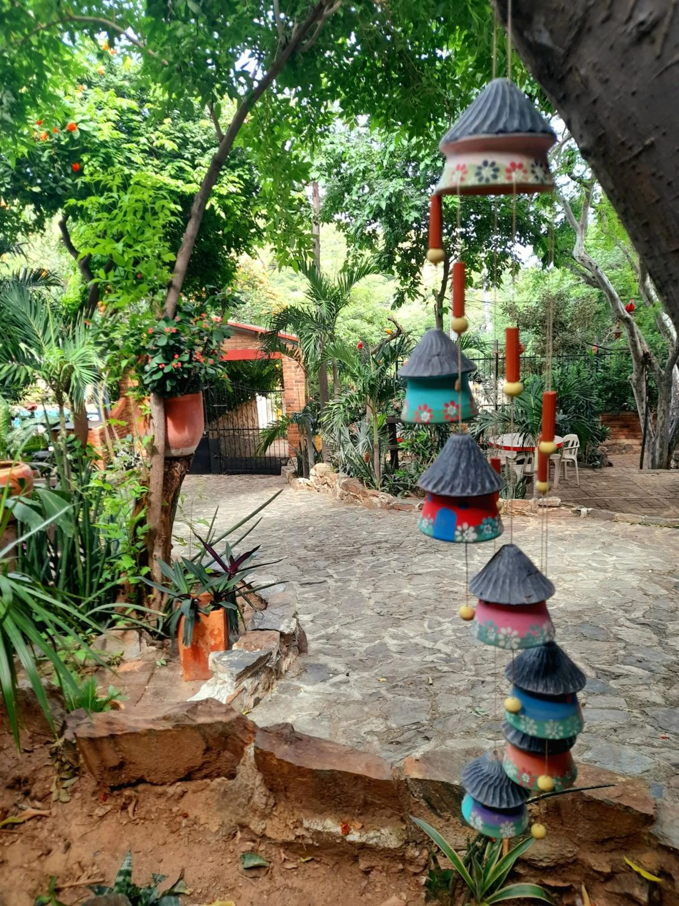 Summer in Hostal La Casa de Felipe