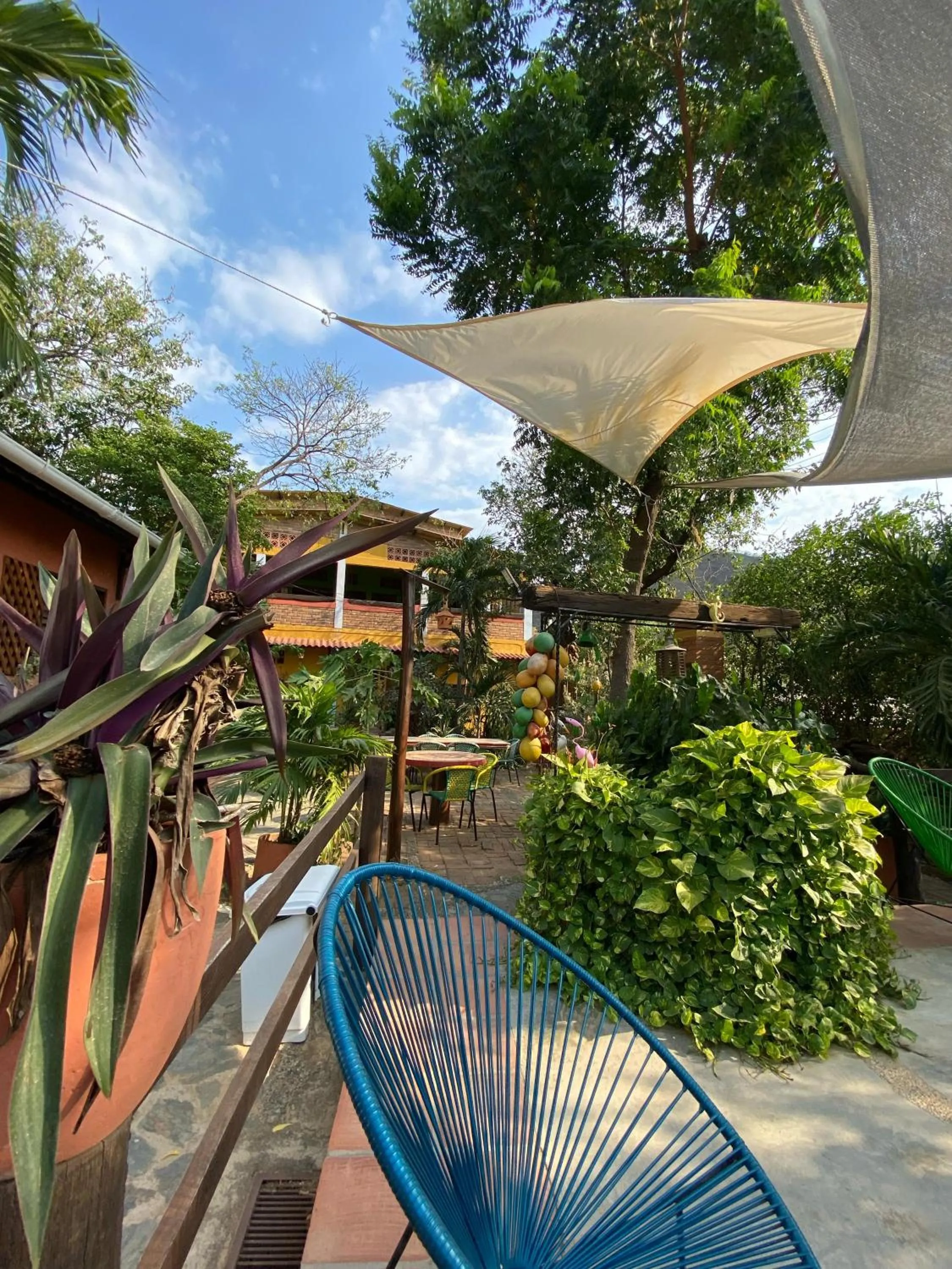 Garden in Hostal La Casa de Felipe