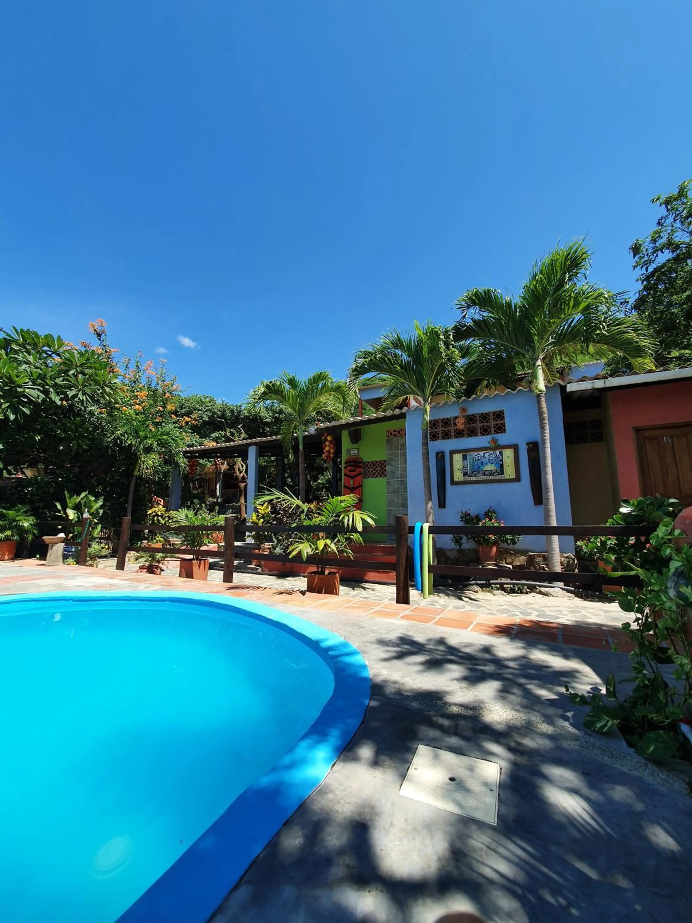 Garden in Hostal La Casa de Felipe