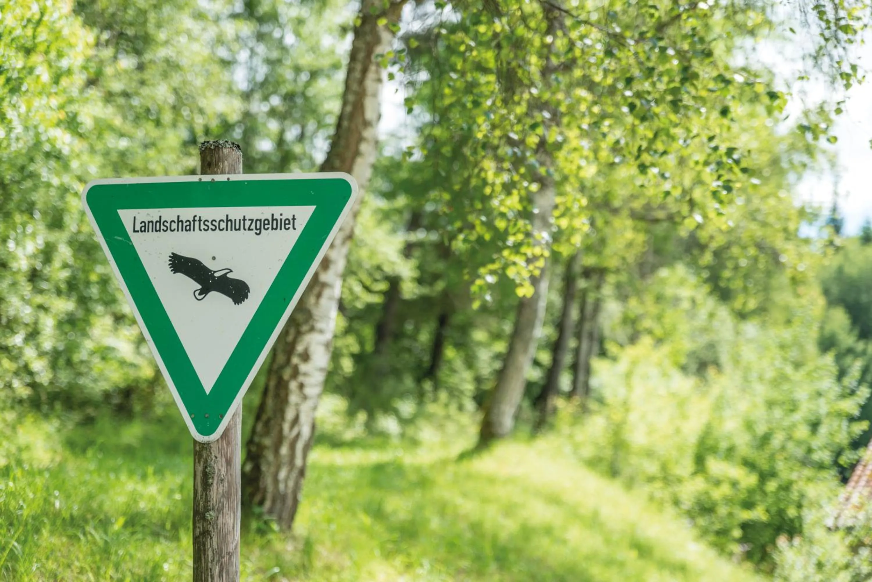 Area and facilities in Hotel Restaurant Waldsägmühle