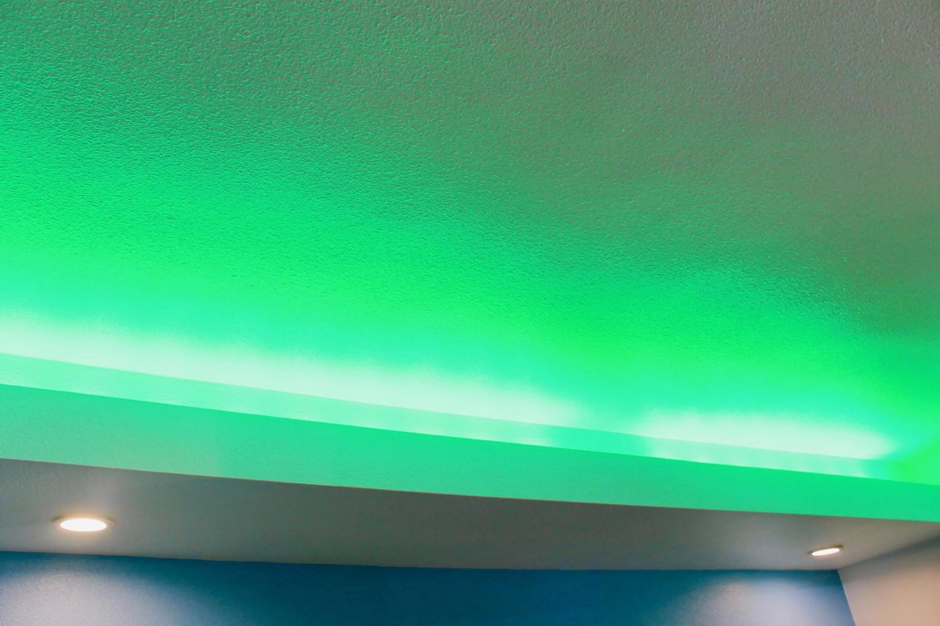 Photo of the whole room in Arlington Motel