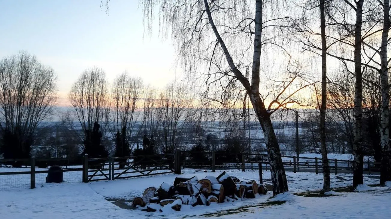 Winter in De Rieke