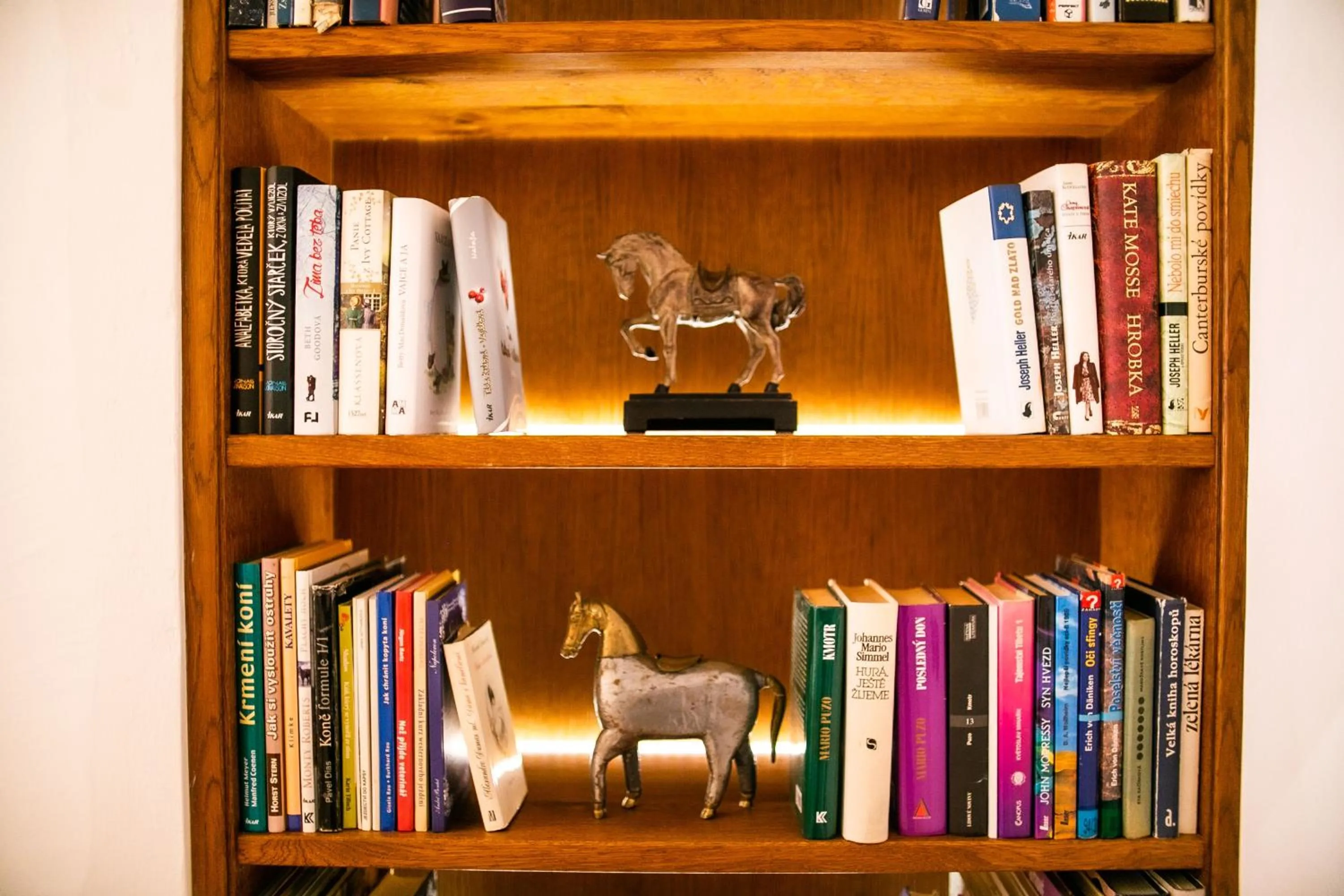 Library in Pension Adalbert