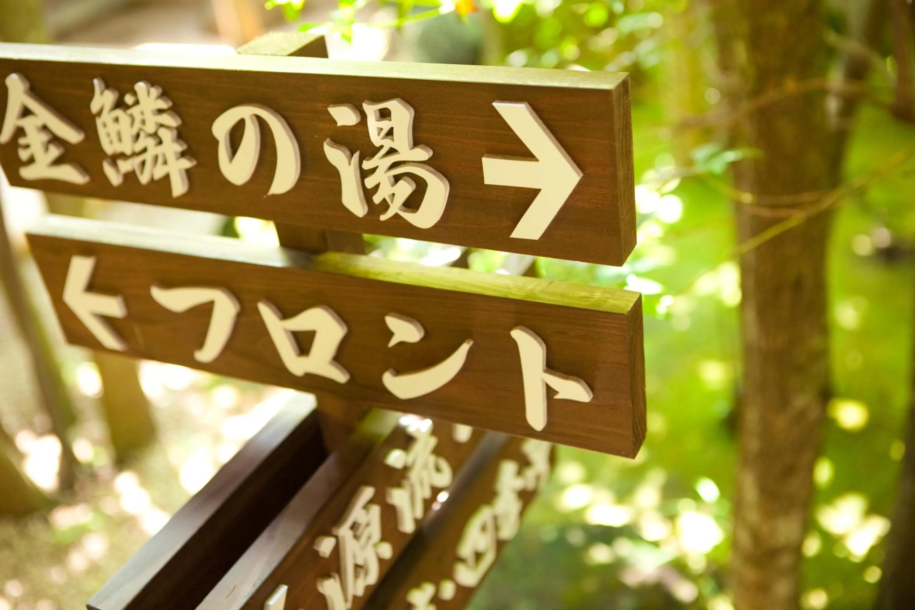 Other in Kutsurogi-no-Yado Nanakawa