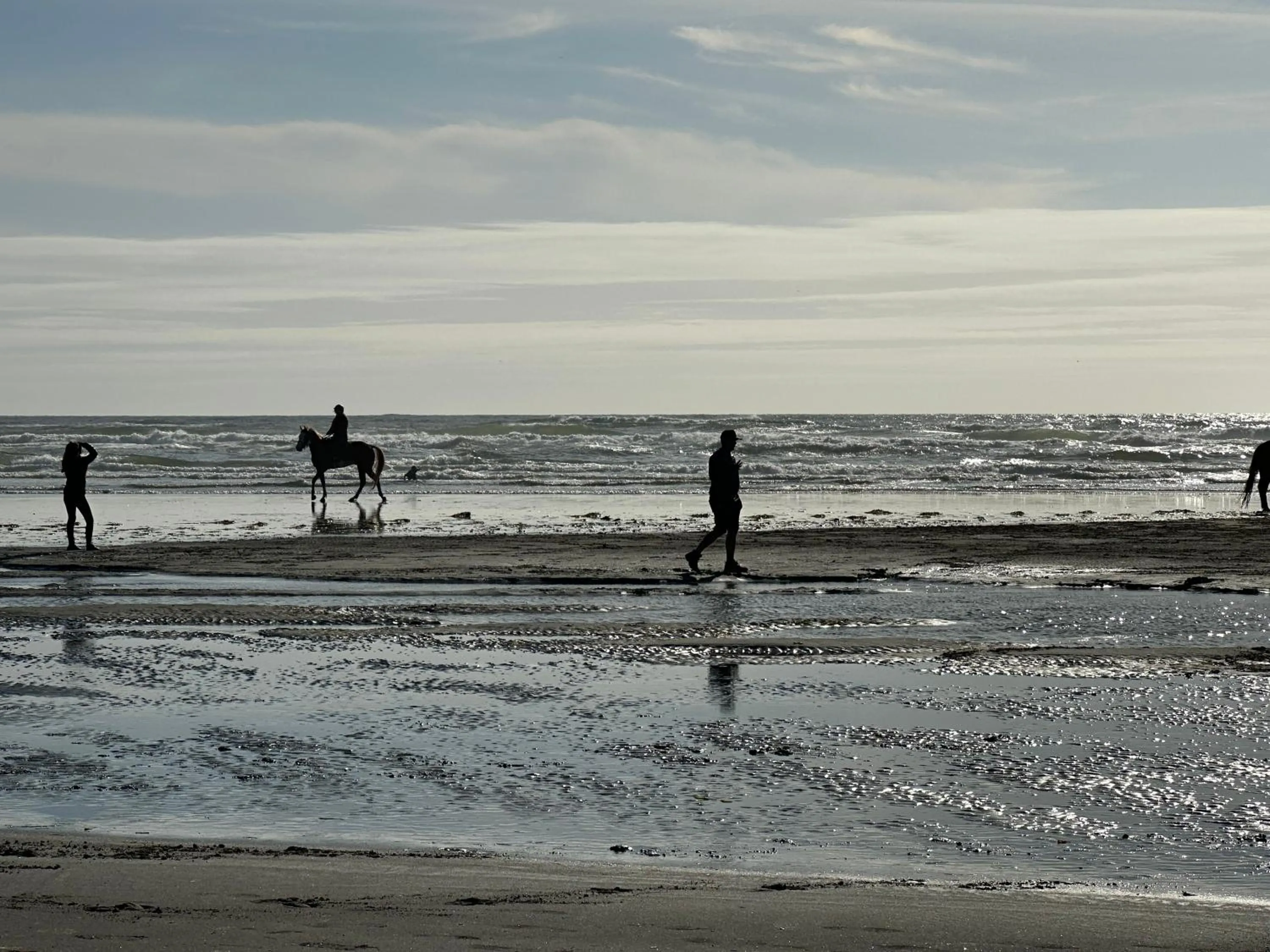 Beach in Coastal Inn and Suites