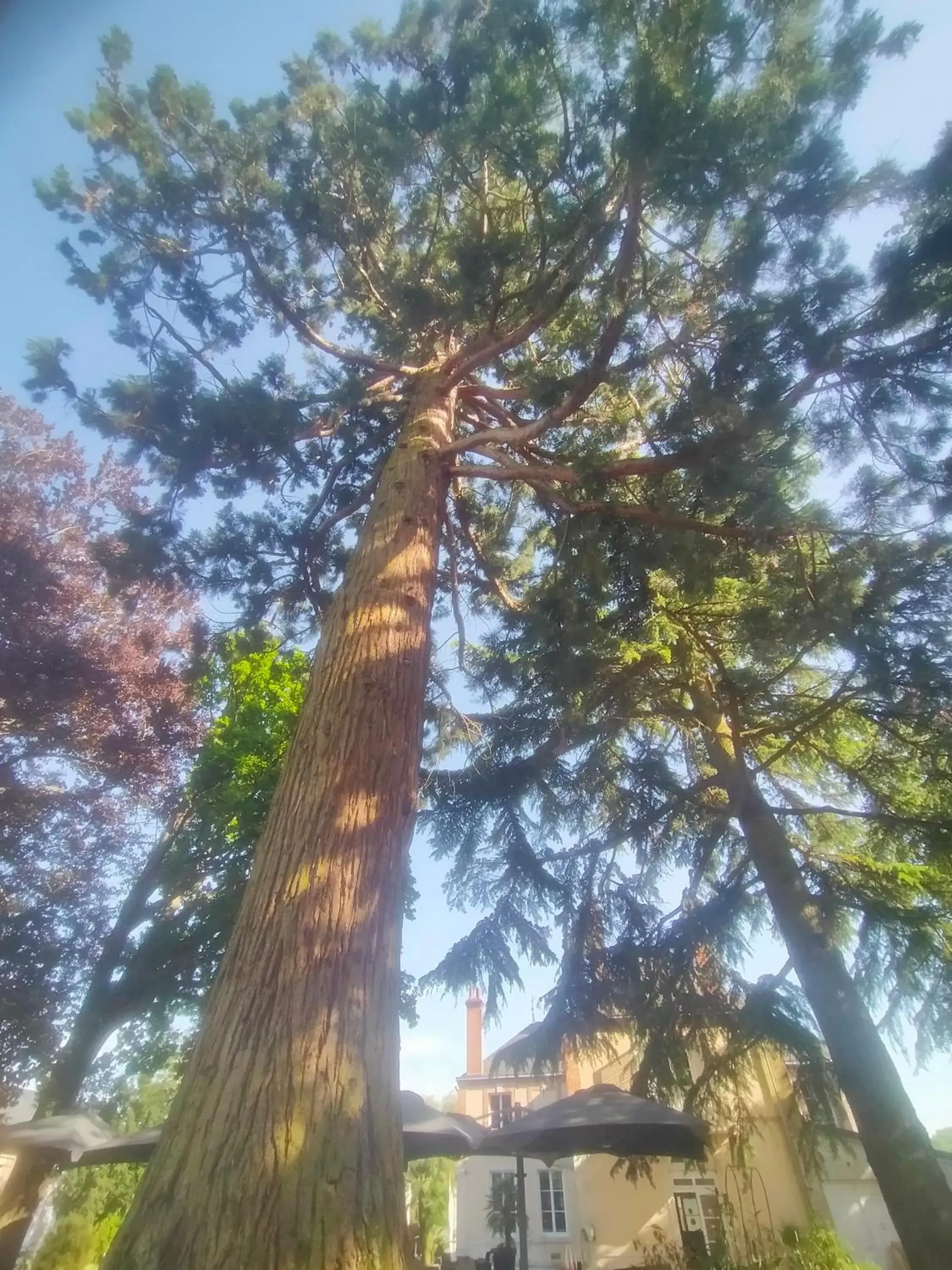 Logis Hotels Restaurants- Villa des Bordes Logis Hotels Restaurants- Villa des Bordes