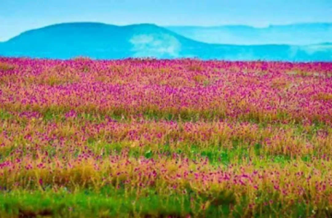 Natural landscape in Vamoose Laxmi Hill Resort