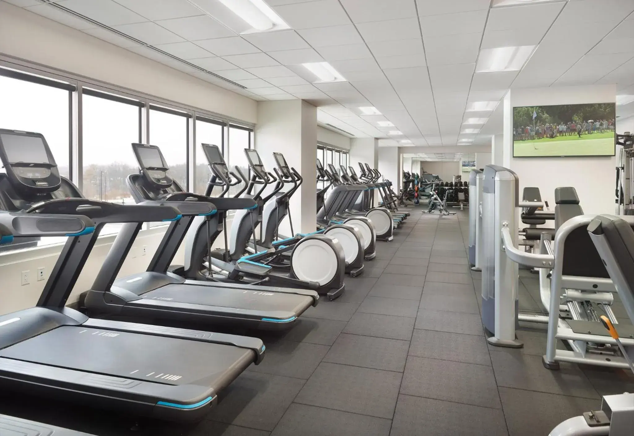 Fitness centre/facilities in Omni Viking Lakes Fitness centre/facilities in Omni Viking Lakes