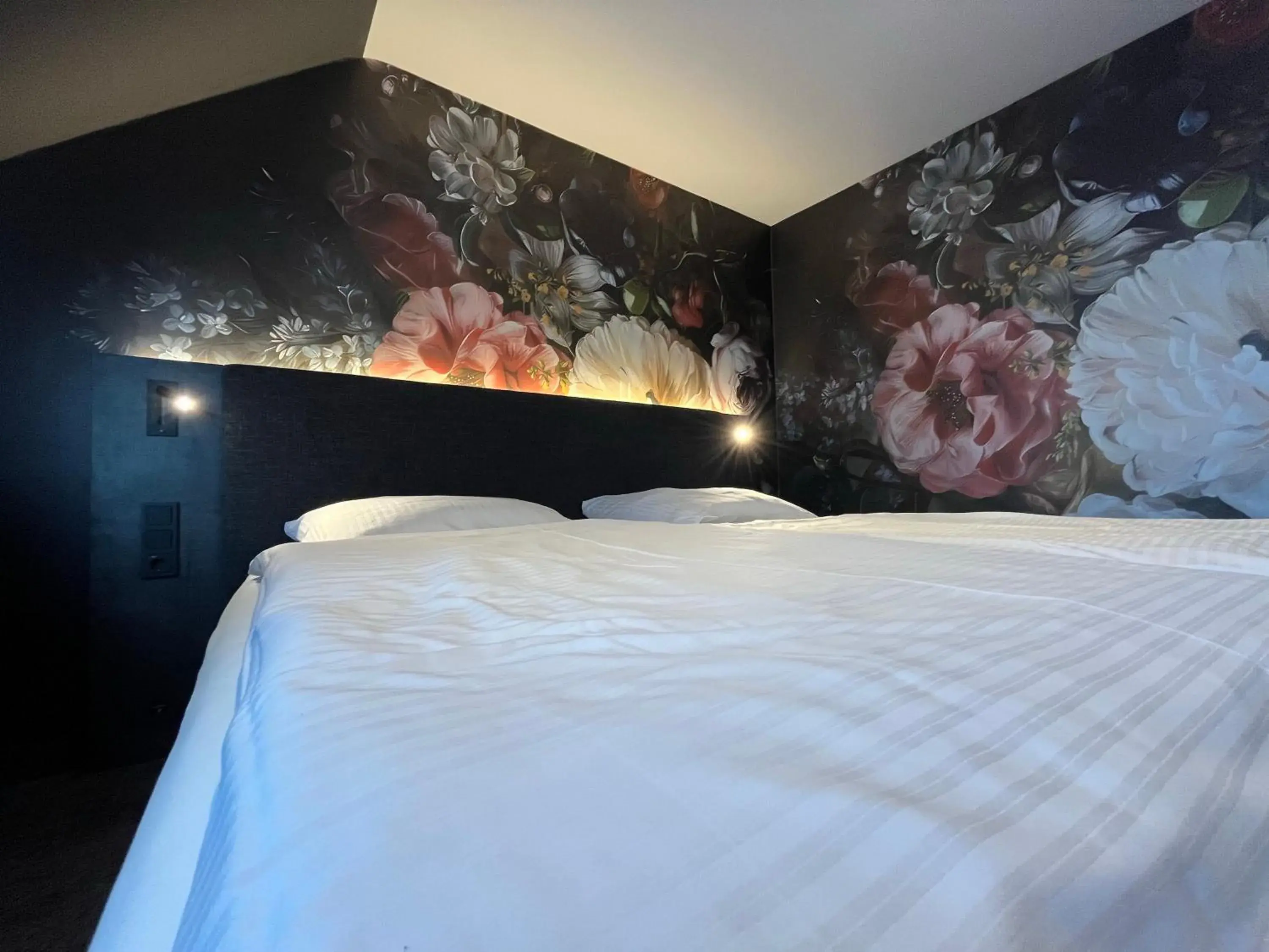 Double Room - single occupancy in Hotel Elsen Double Room - single occupancy in Hotel Elsen