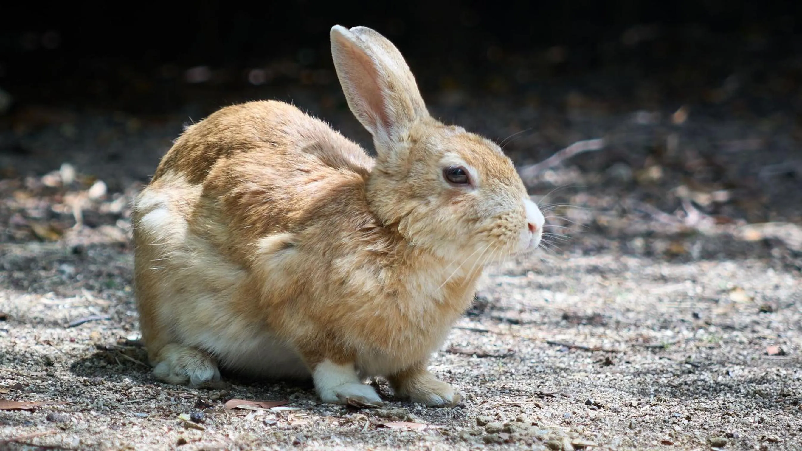 Property building in Tabist Setouchinoyado Takehara Seaside